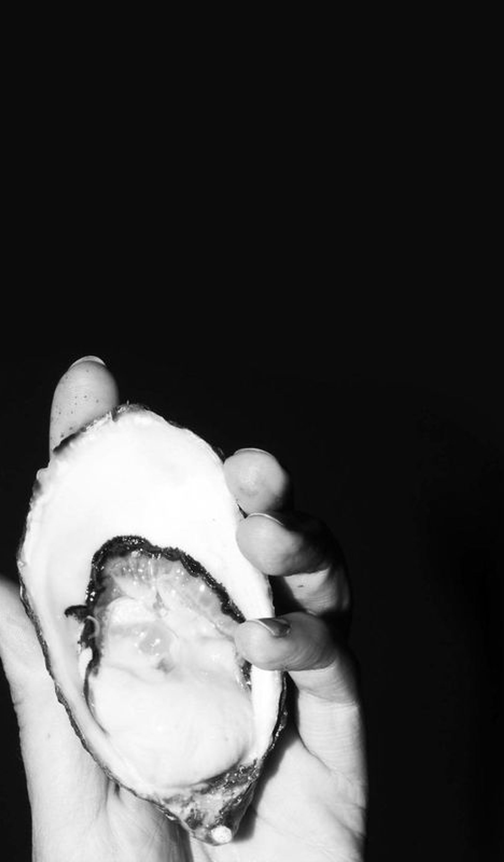A hand holds an open oyster.