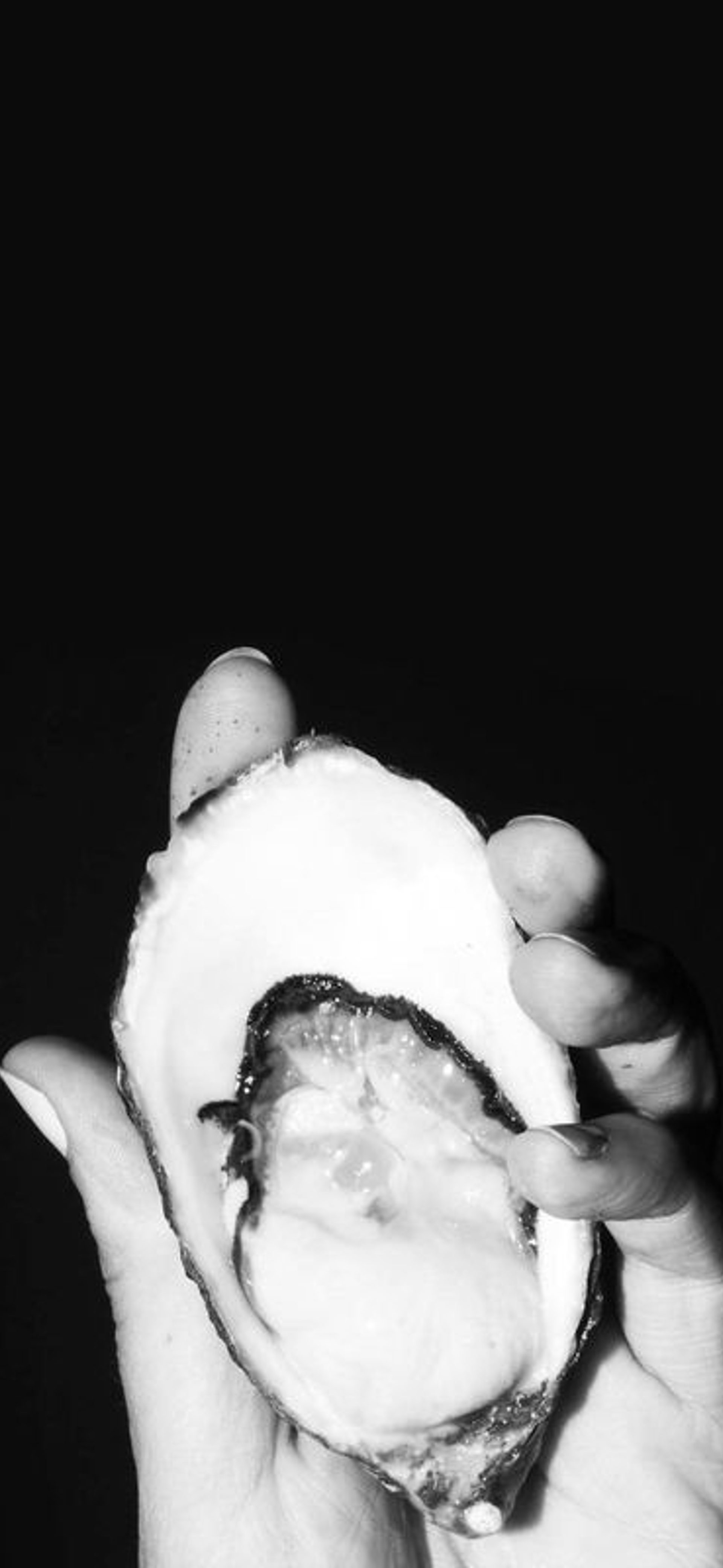 Powerhouse Late x Vivid Ideas: Pearls of Wisdom