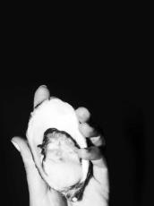 A hand holds an open oyster.