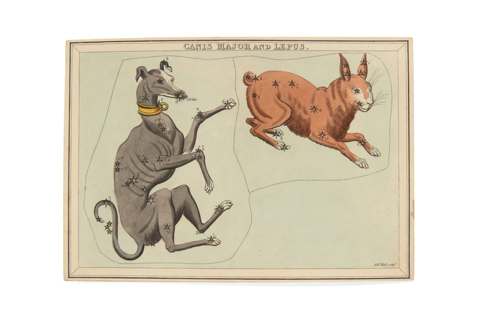 'Canis Major and Lepus' playing card