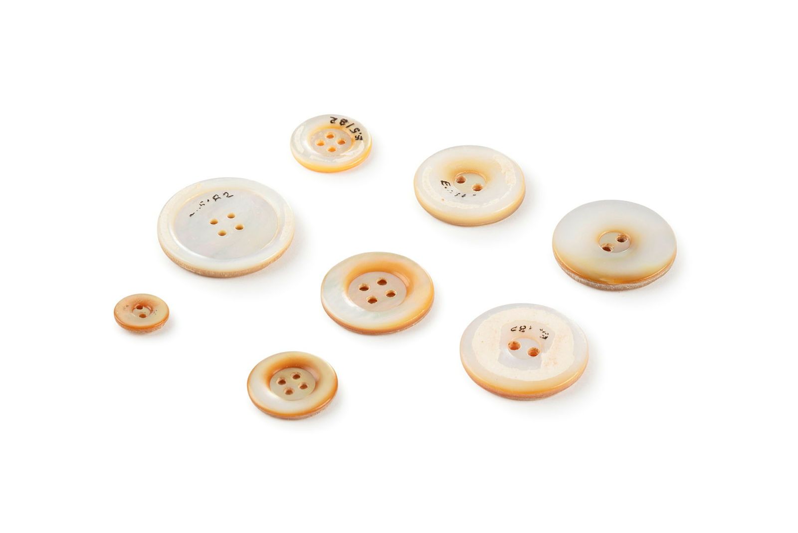 Didactic display of objects and photographs used to show how pearl shell was made into pearl buttons, pearl shell