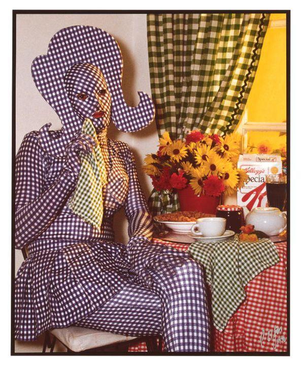 tights, long sleeve top, short flouncy skirt, face covering and stylised wig, also made from gingham fabric.