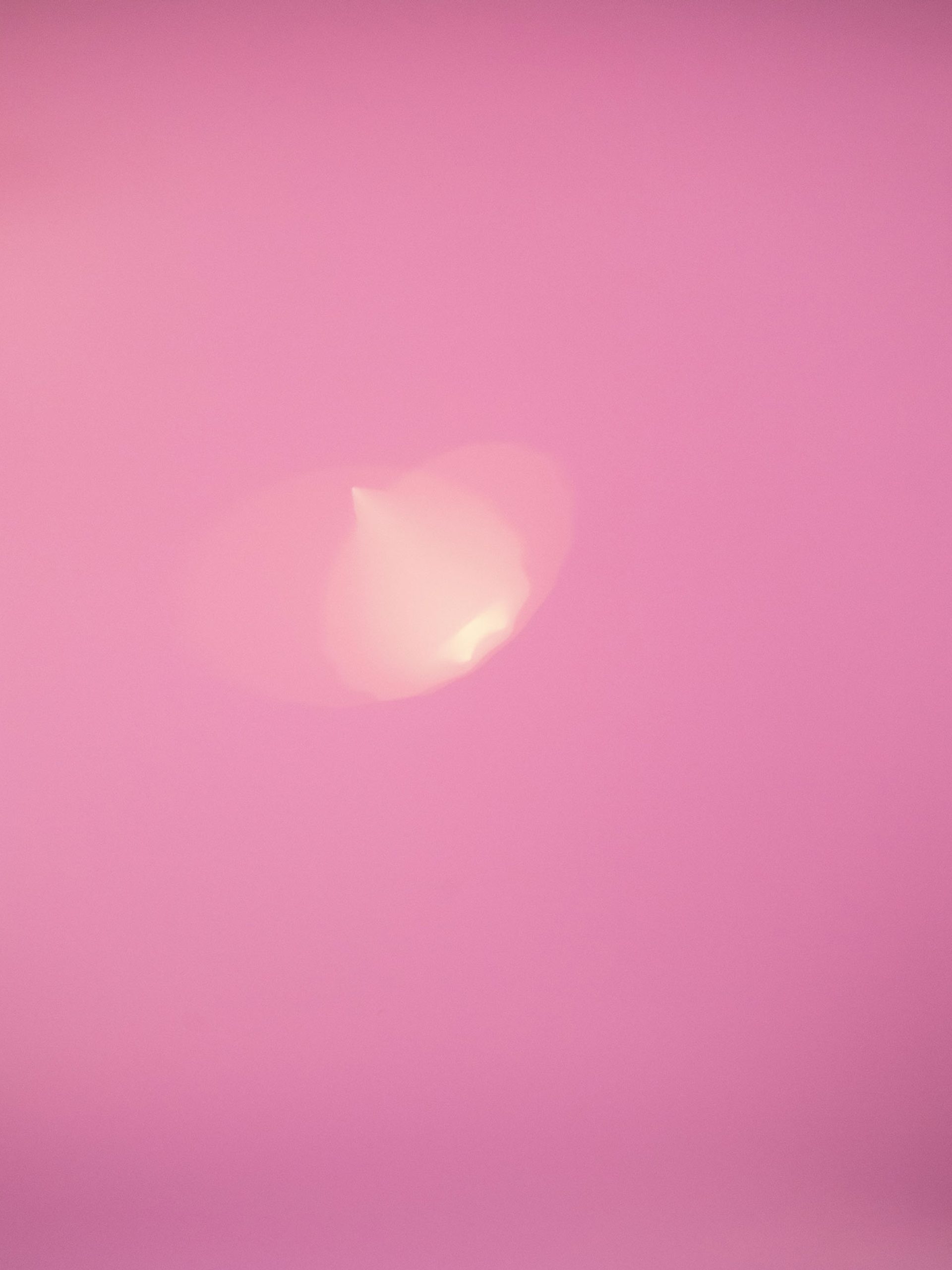 A dusty pink background with a small pale yellow light flare slightly off-centre