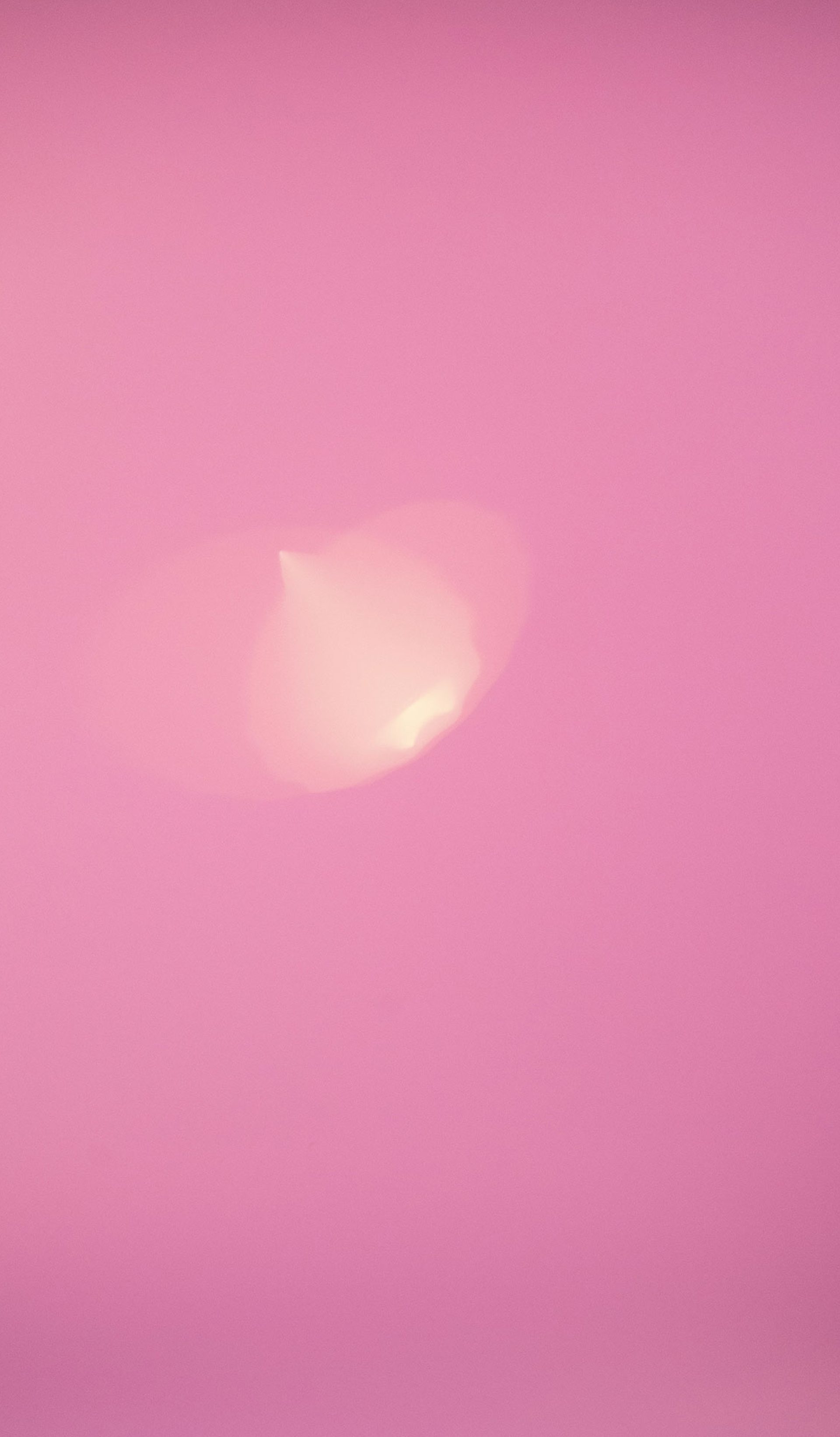 A dusty pink background with a small pale yellow light flare slightly off-centre