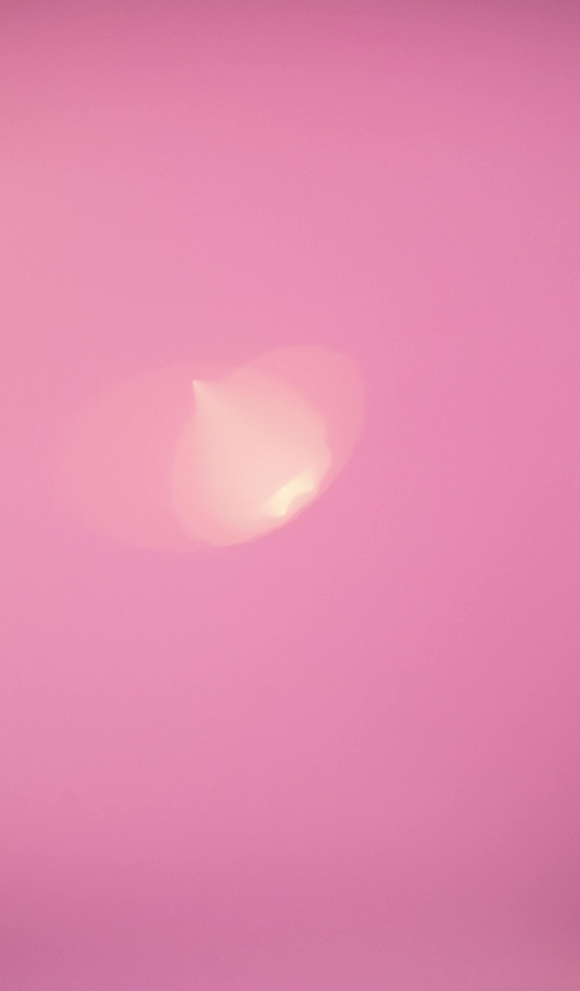 A dusty pink background with a small pale yellow light flare slightly off-centre