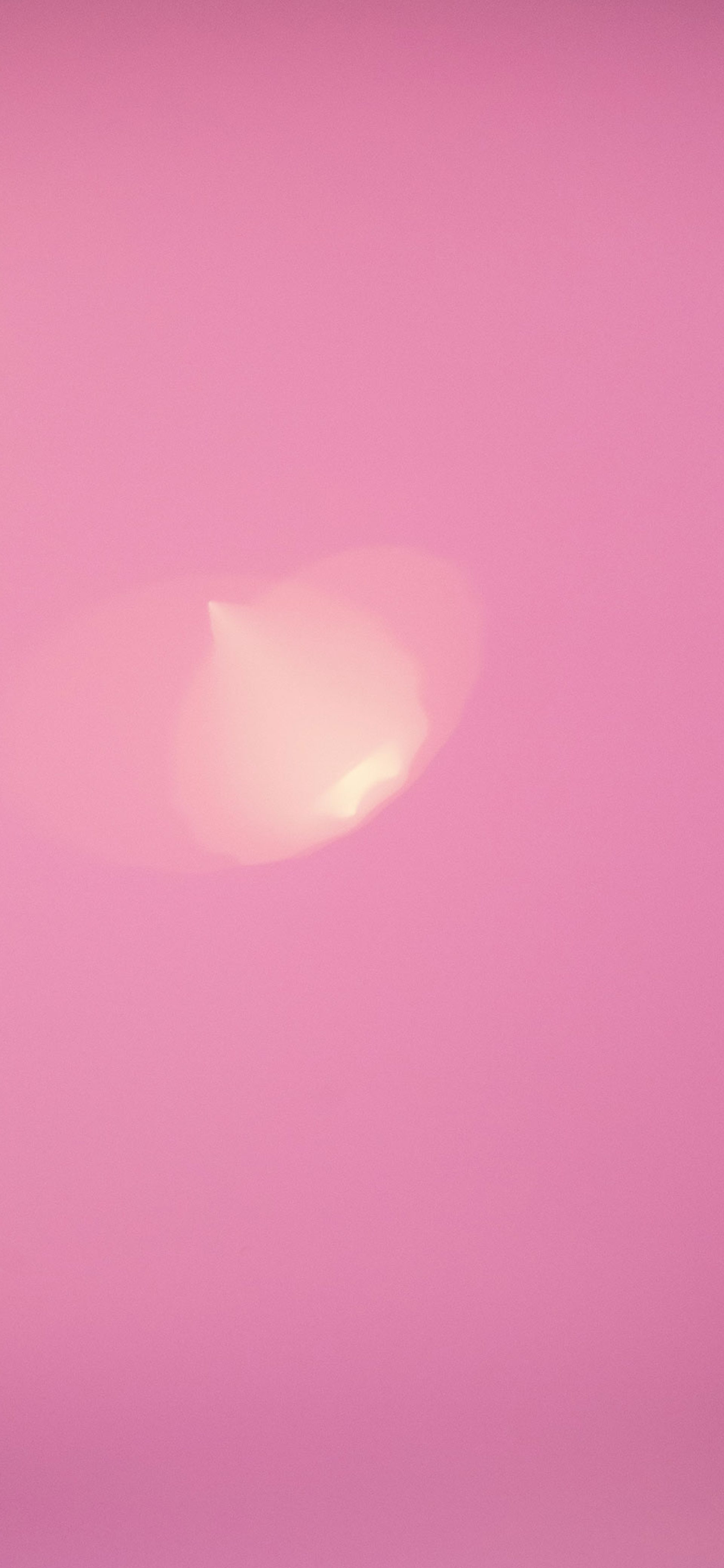 Arresting Light