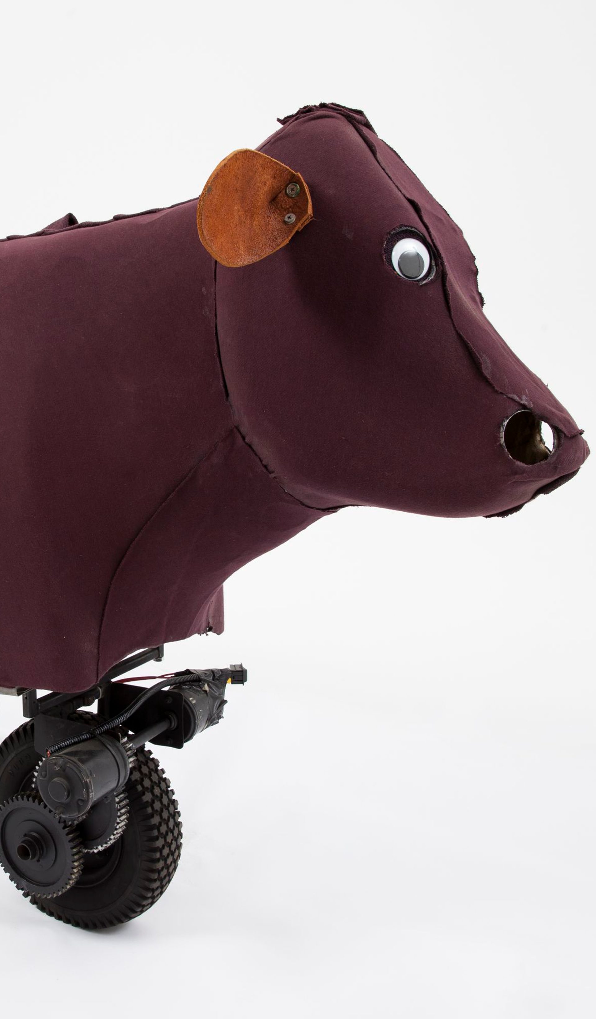 Discovery Walkthrough: Australian Innovations