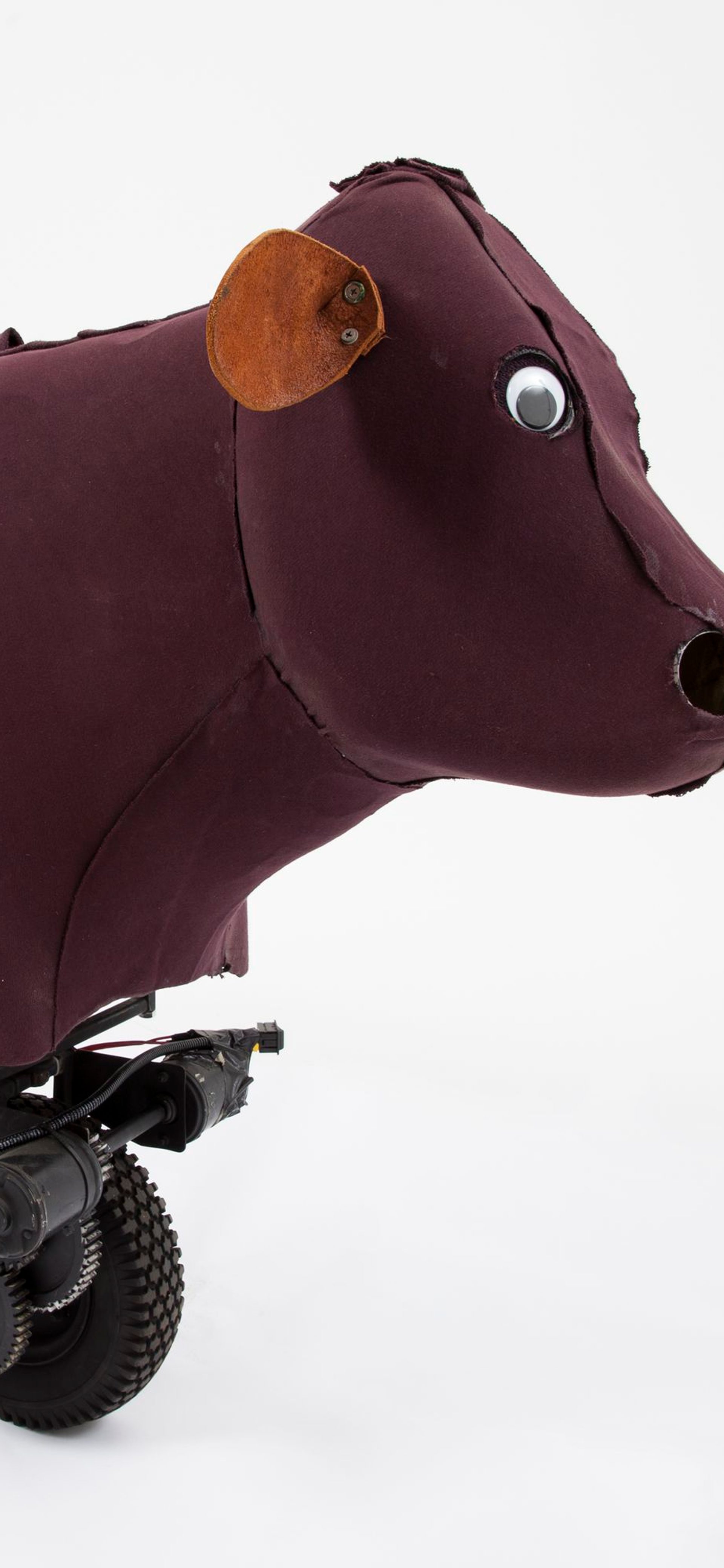 Discovery Walkthrough: Australian Innovations