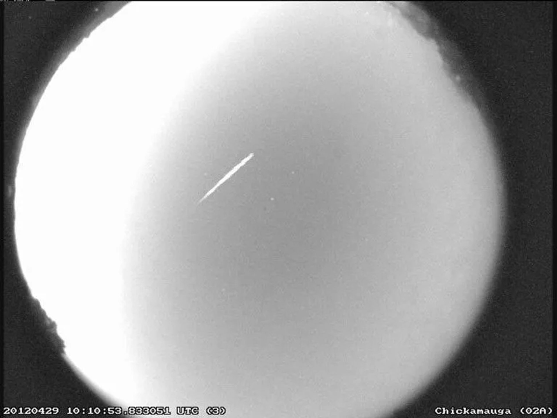 A black and white telescopic image of Eta Aquariid meteor streaks.