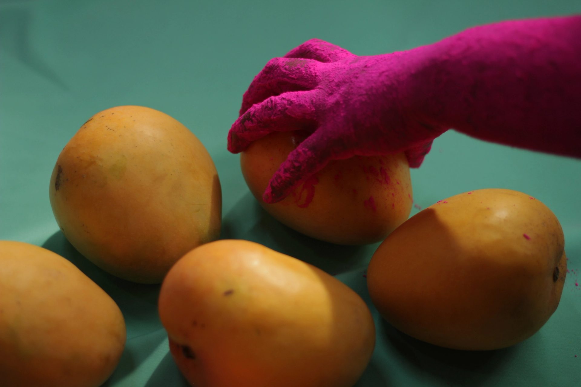 hand touching mango