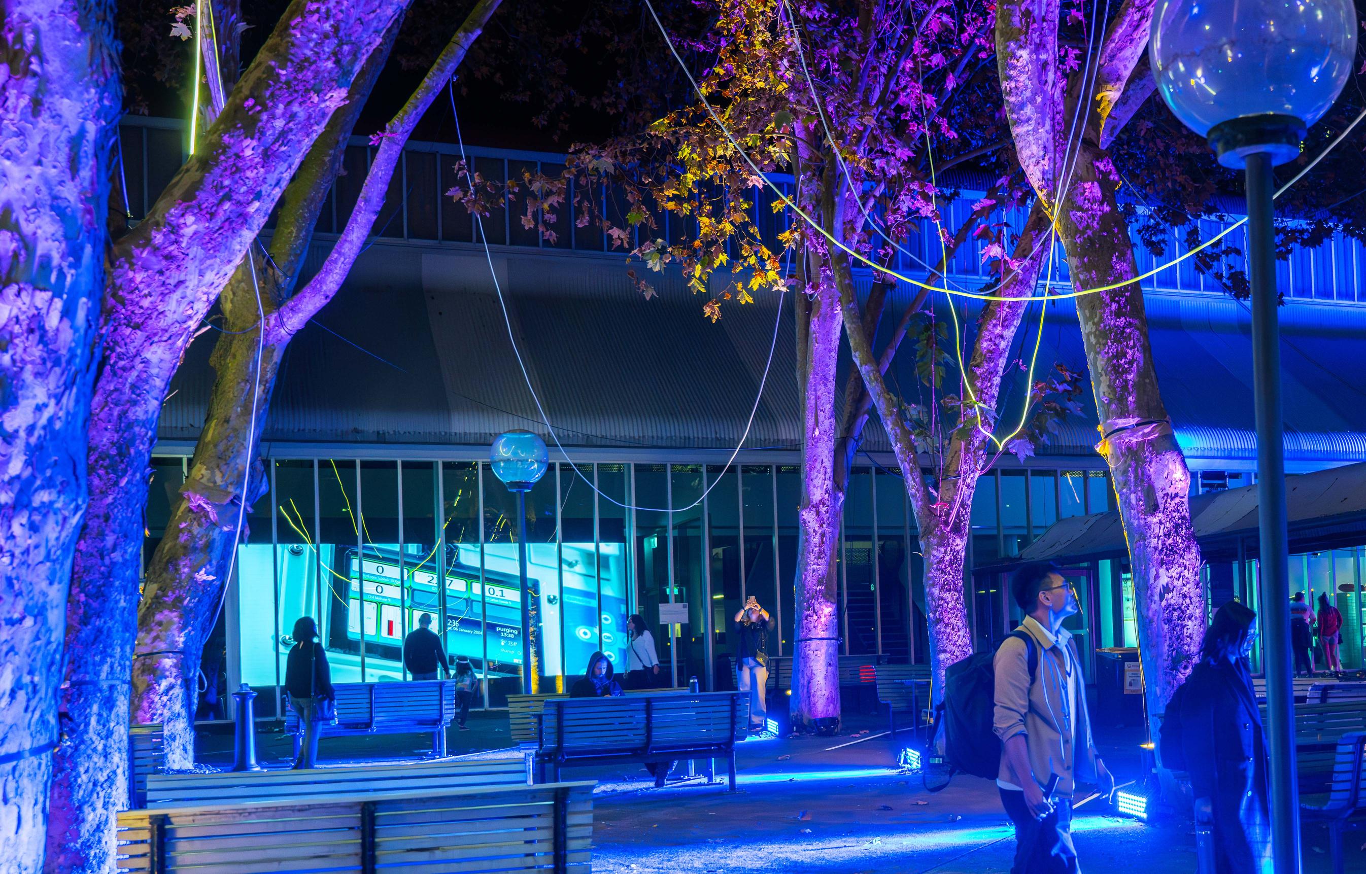 People exploring and outdoor space lit up by cool toned lights.