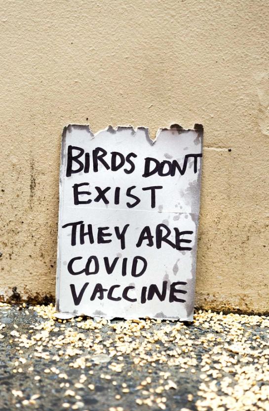 Note reading “BIRDS DON’T EXIST THEY ARE COVID VACCINE”