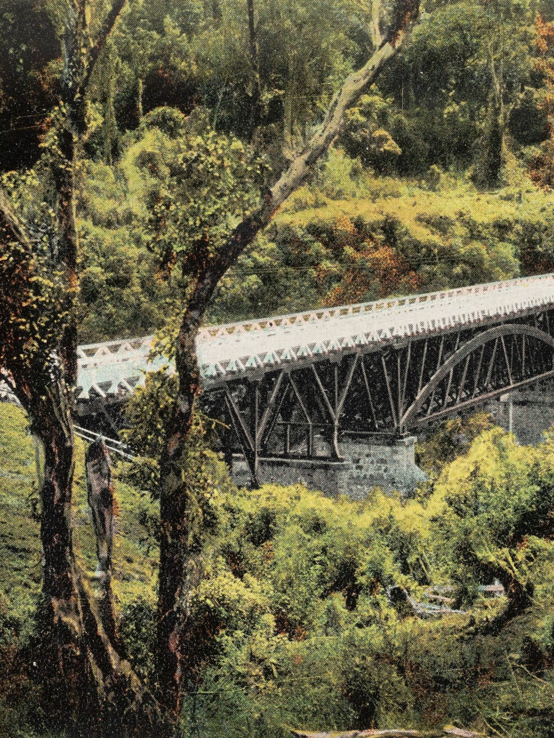 Postcard photo of bridge and green surroundings
