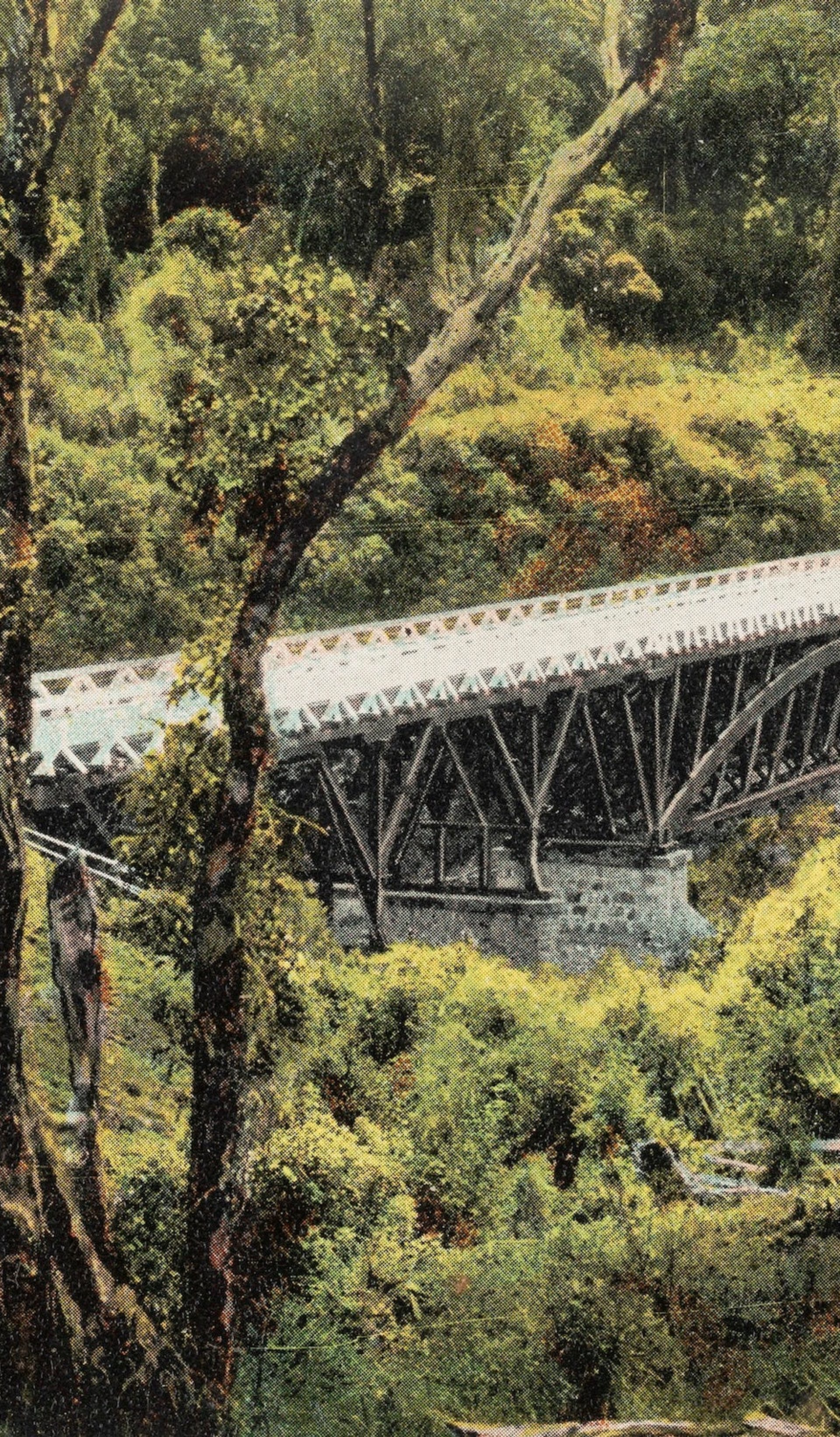 Postcard photo of bridge and green surroundings