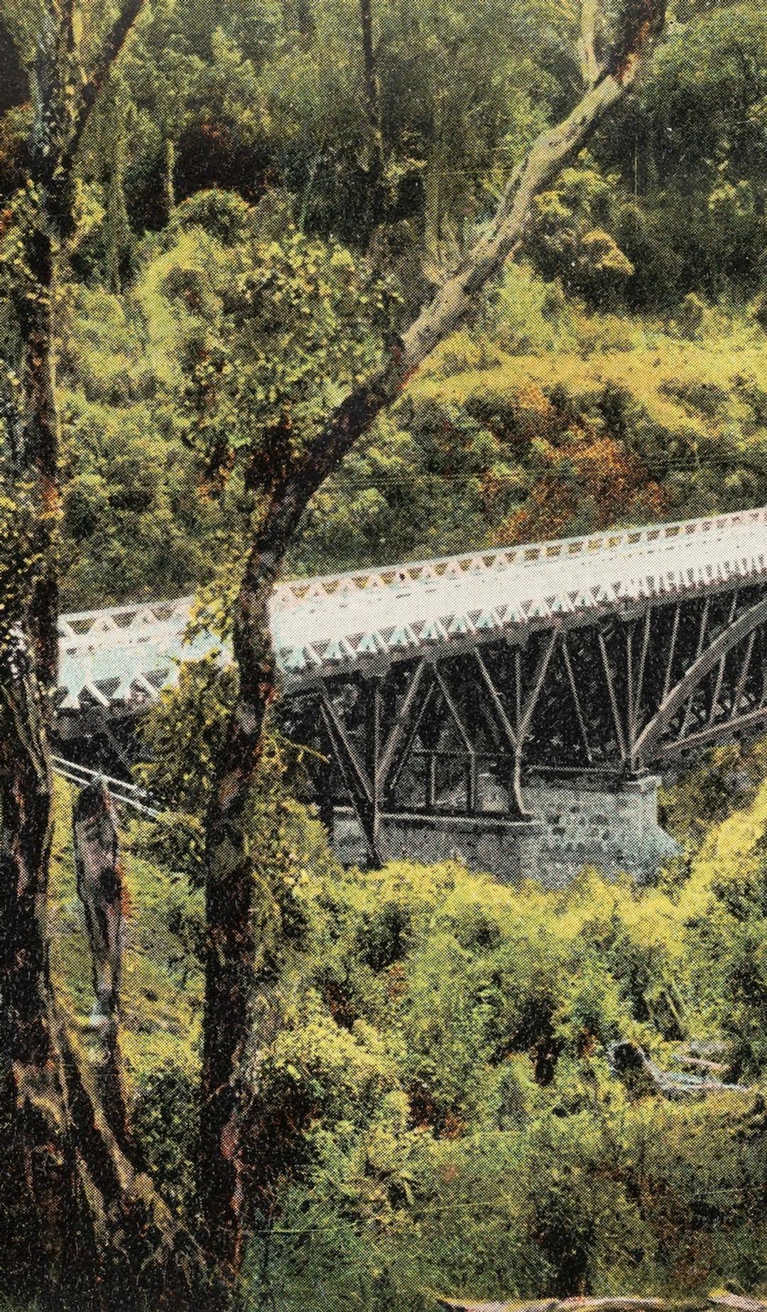 Postcard photo of bridge and green surroundings
