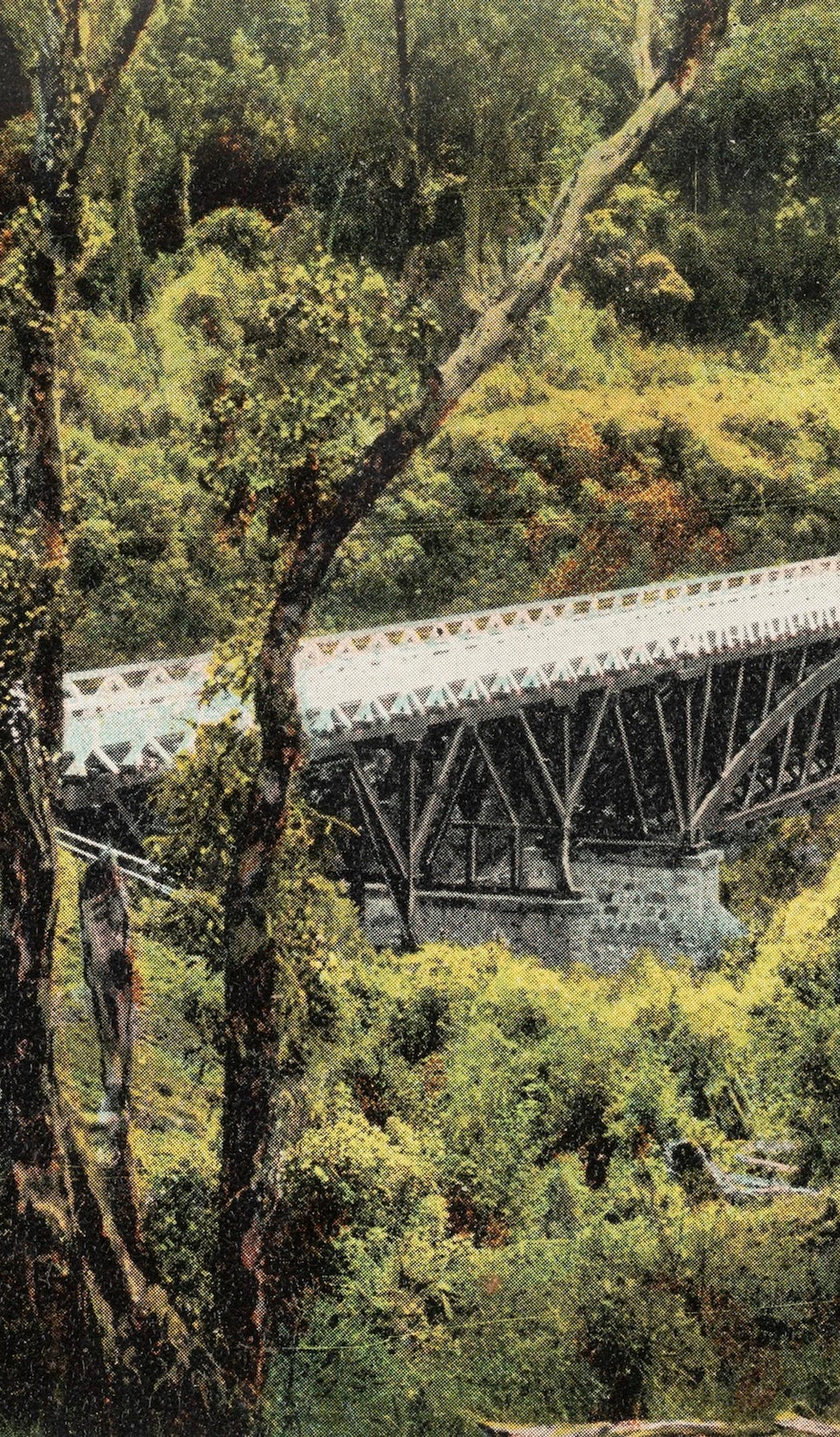Postcard photo of bridge and green surroundings