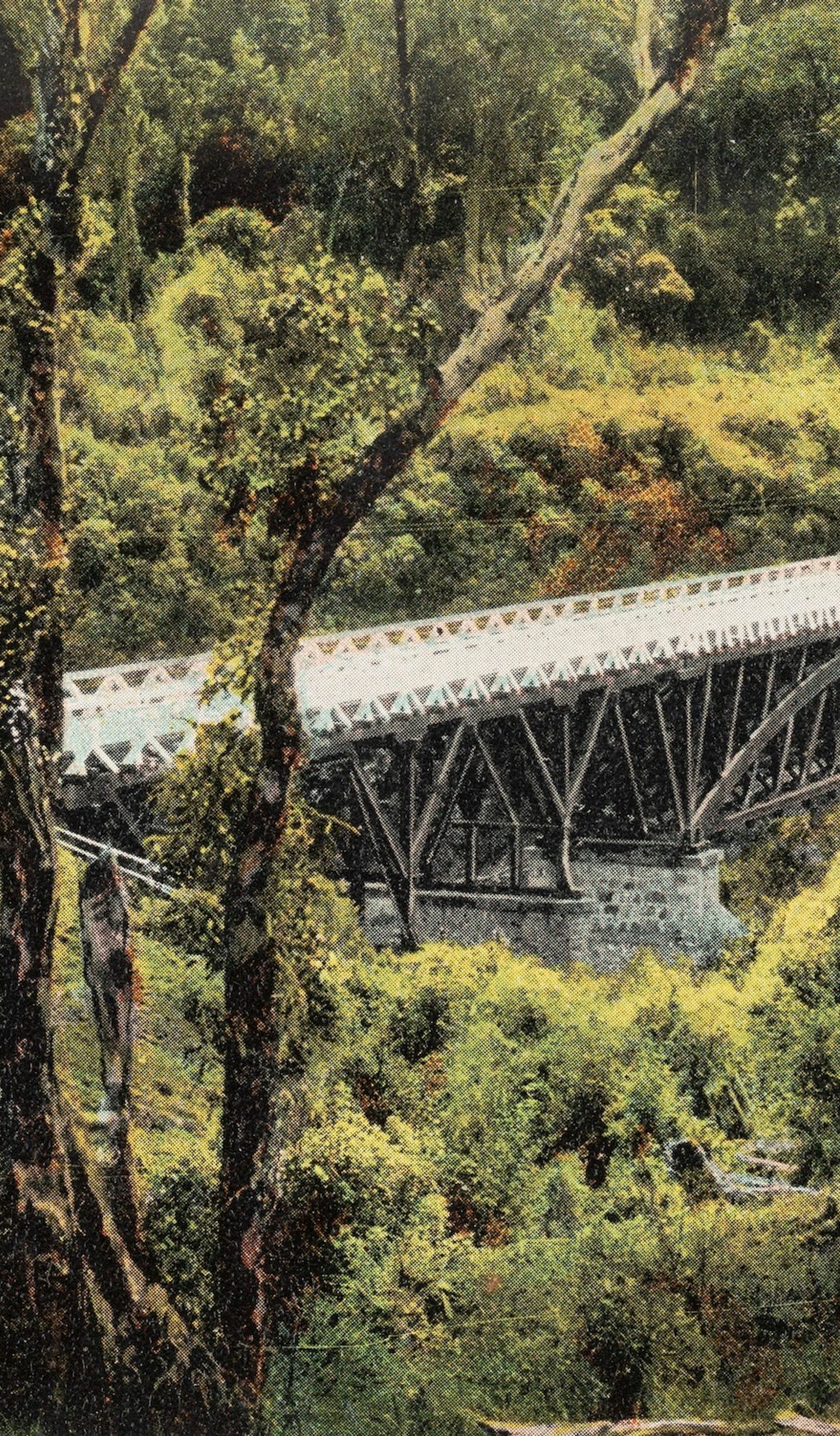 Postcard photo of bridge and green surroundings