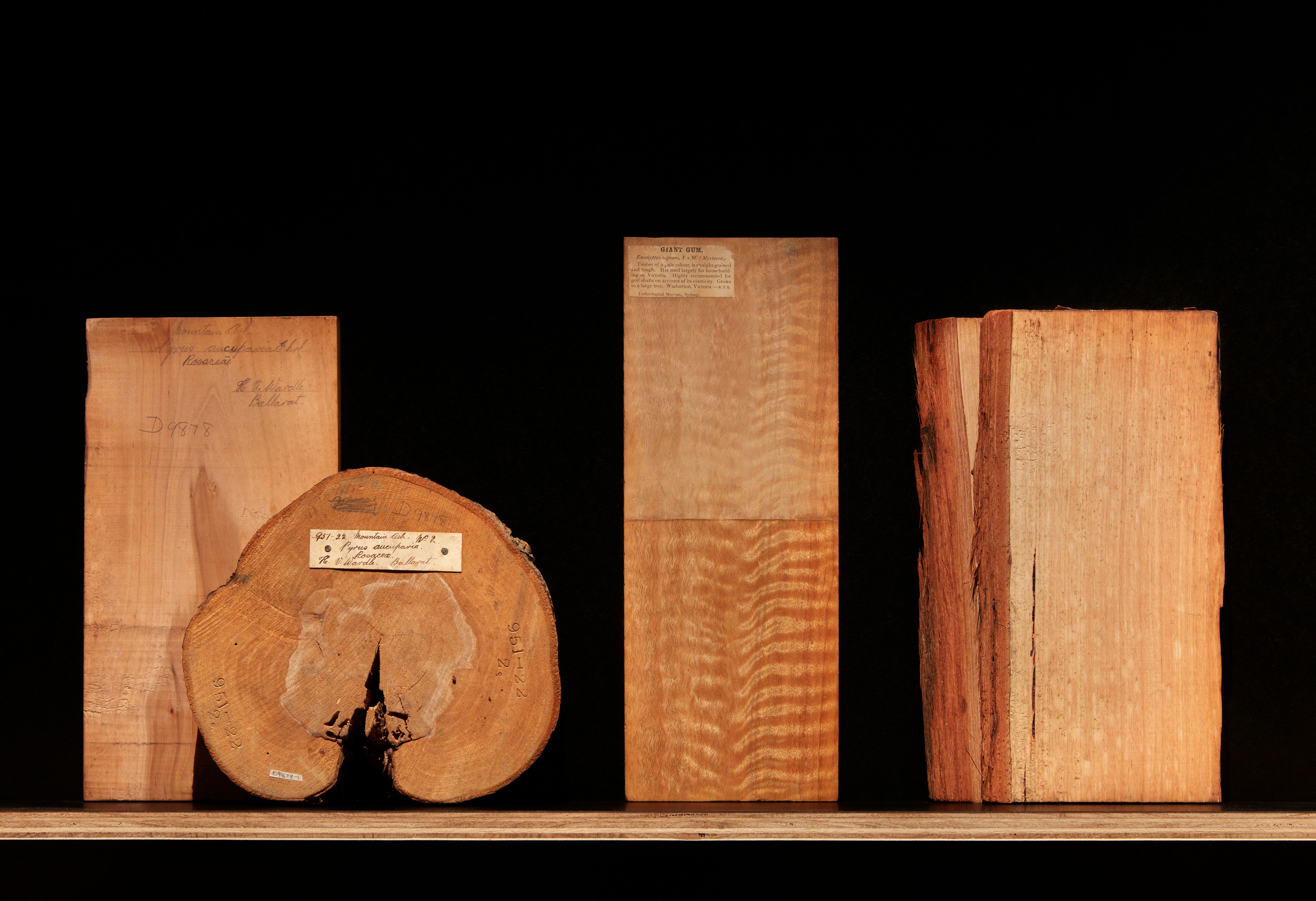 Four pieces of timbre, three rectangular and one circular stand on a shelf.