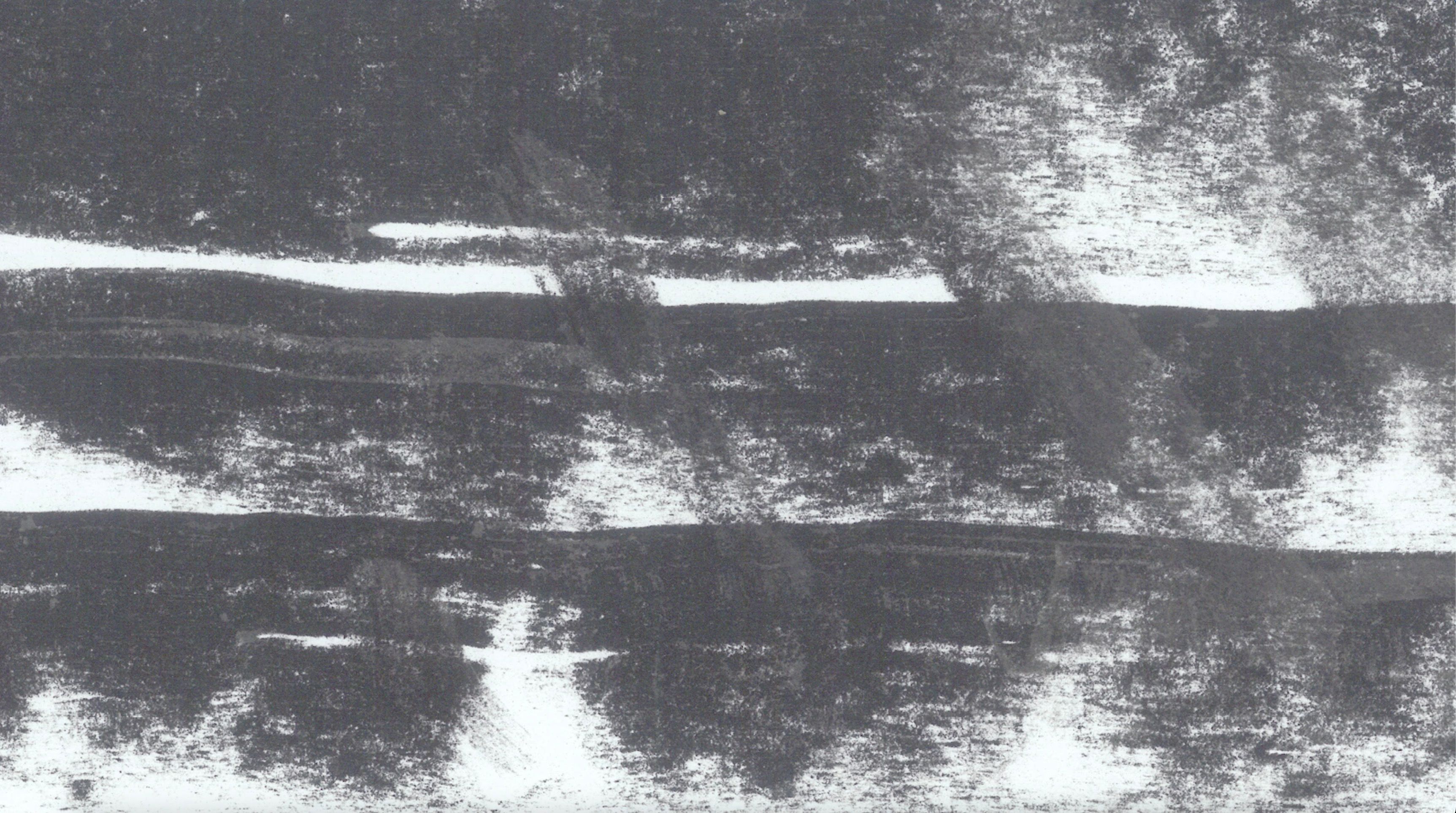 The Ethos of the Forest 