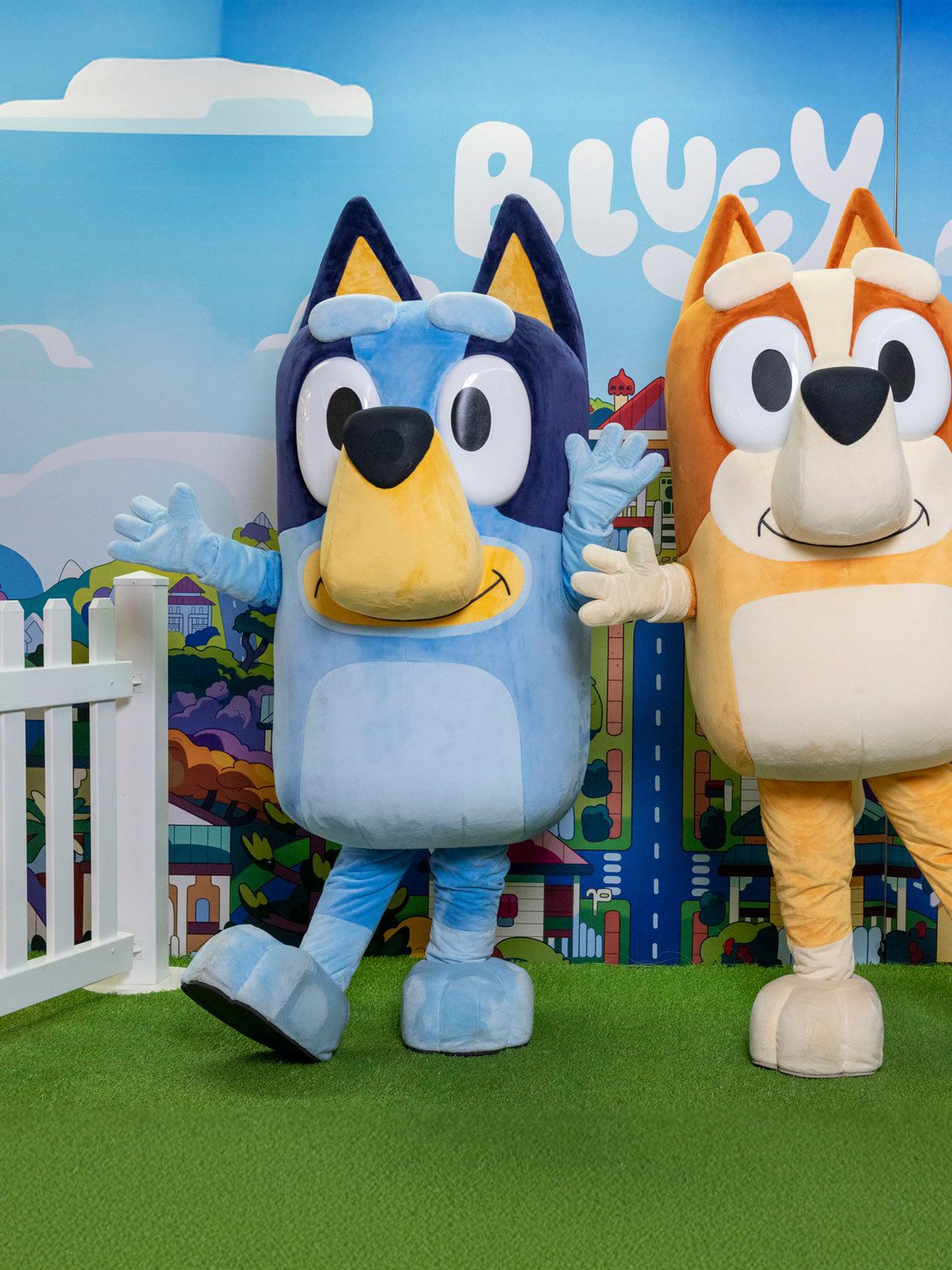 Bluey and Bingo Meet & Greet