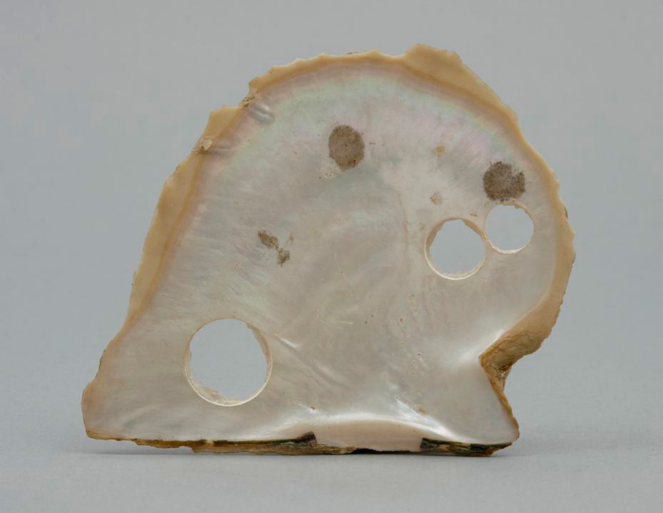 A pearl shell with three circular holes of varying sizes cut through the surface of the shell.
