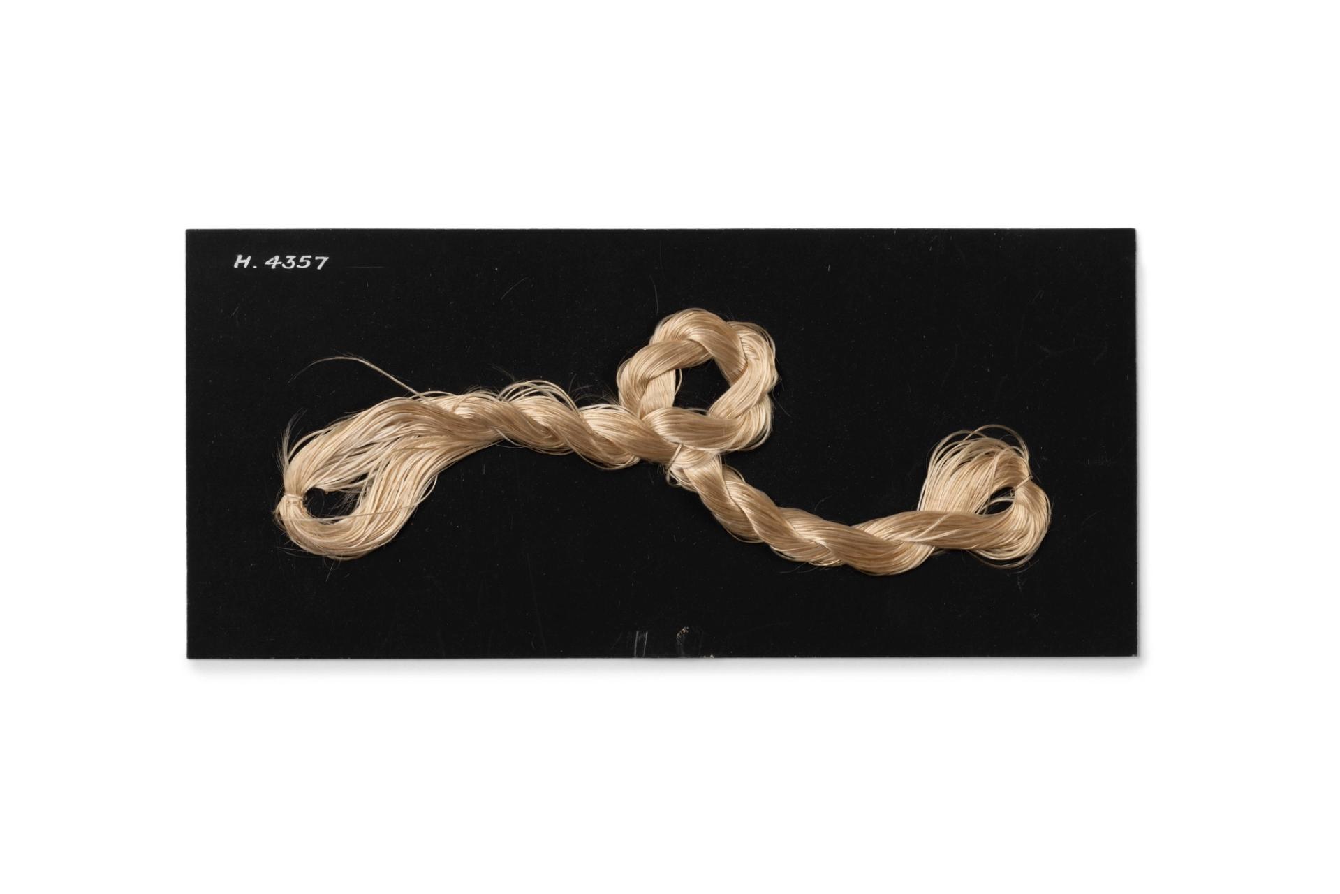 Fibre from seaweed