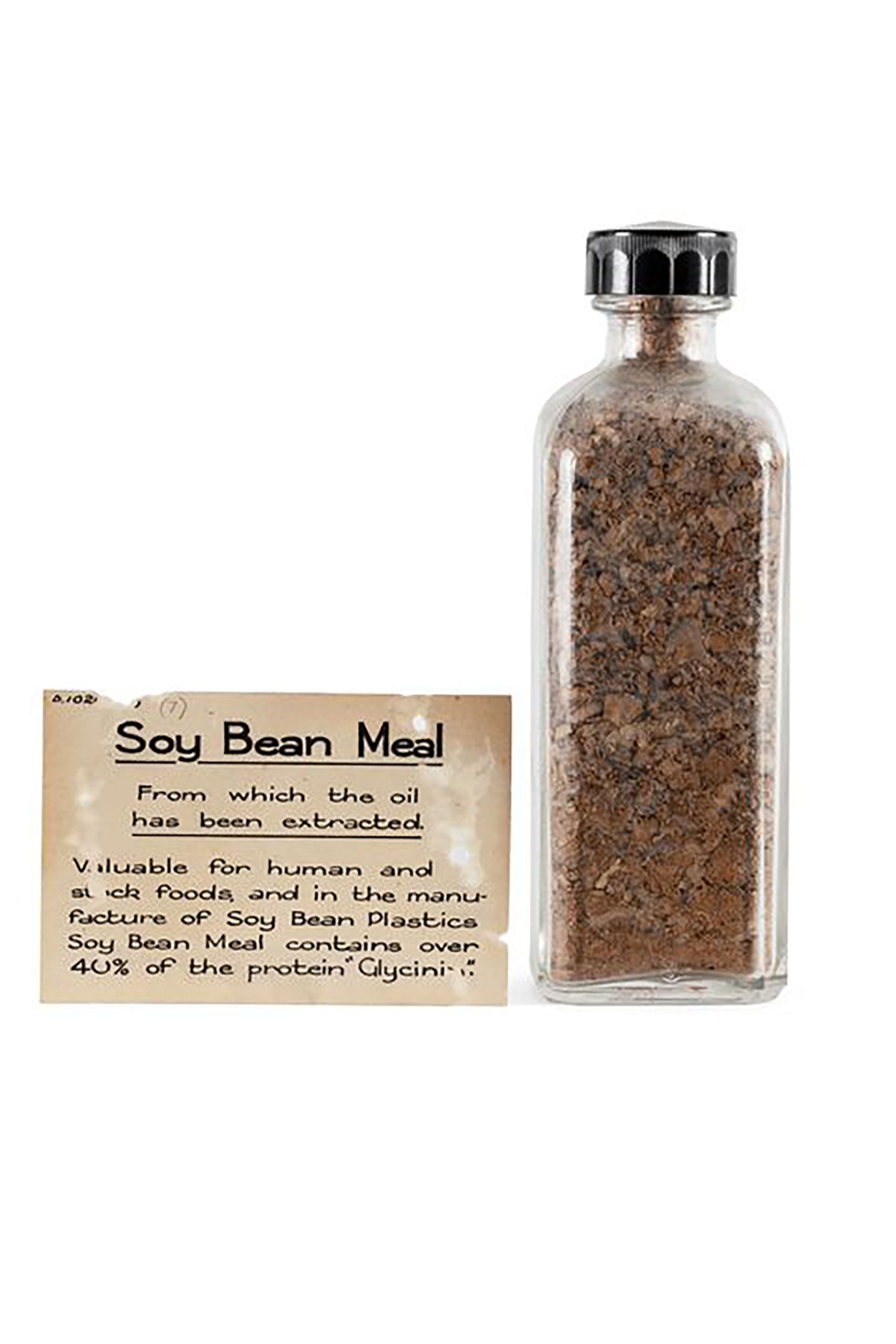 Soy bean meal in a bottle. The old musuem label states Soy Bean Meal- from which the oil has been extracted. Valuable for human and stock foods, and in the manufacture of Soy Beans Plastic. Soy bean meal contains over 40% of the protein 'Glycinin?'