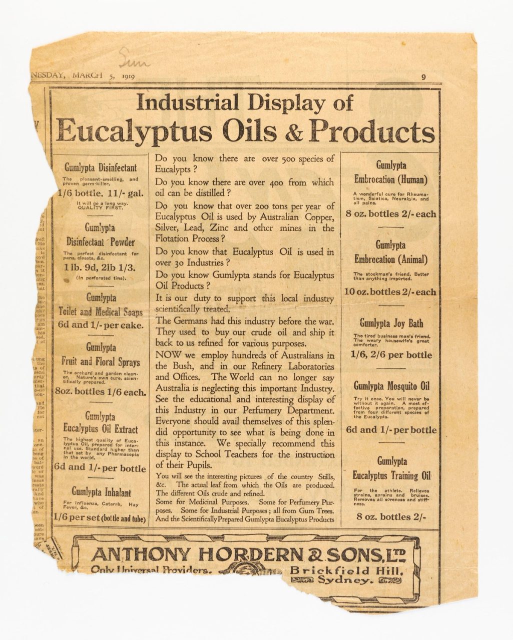 Newspaper clipping showing the industrial display of Eucalyptus oils and products