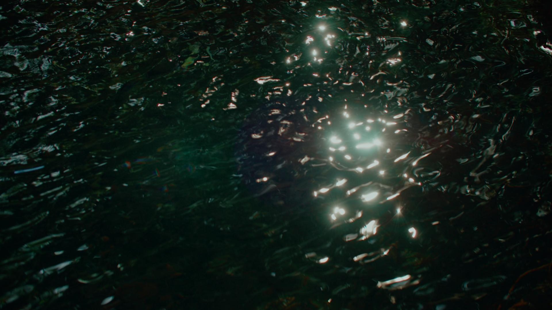 Sun reflected upon ripples of dark water