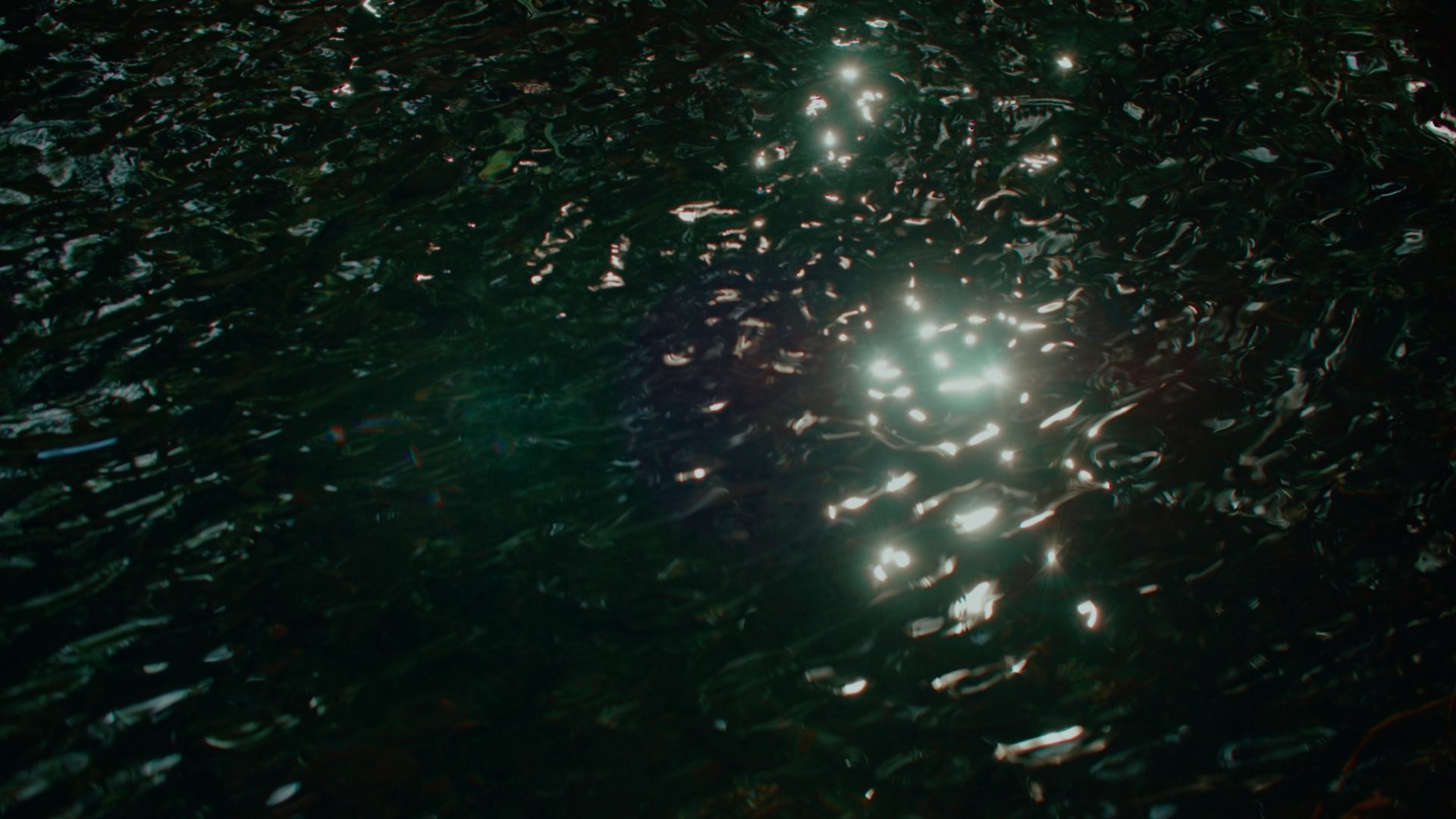 Sun reflected upon ripples of dark water