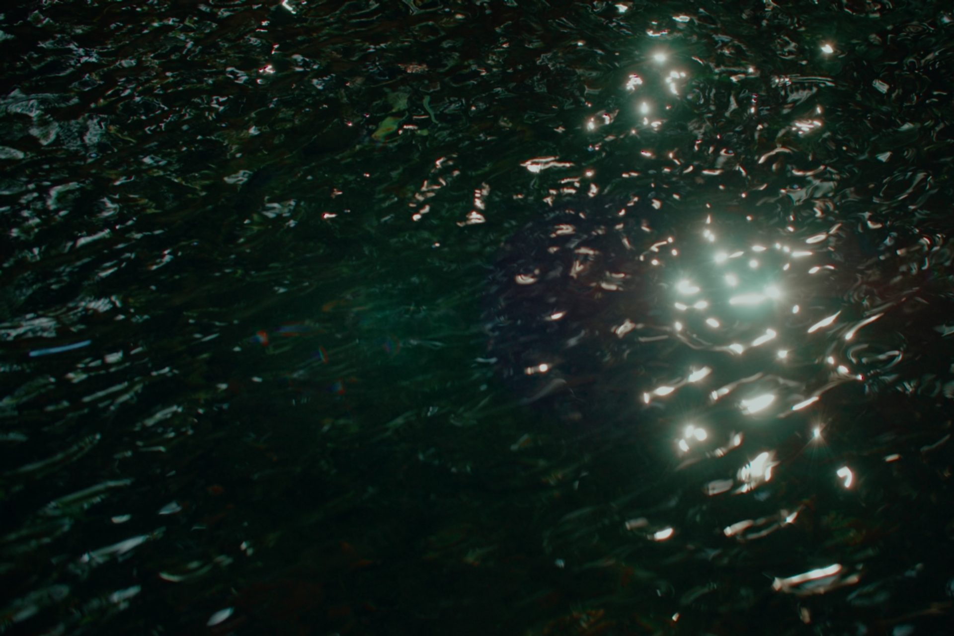 Sun reflected upon ripples of dark water