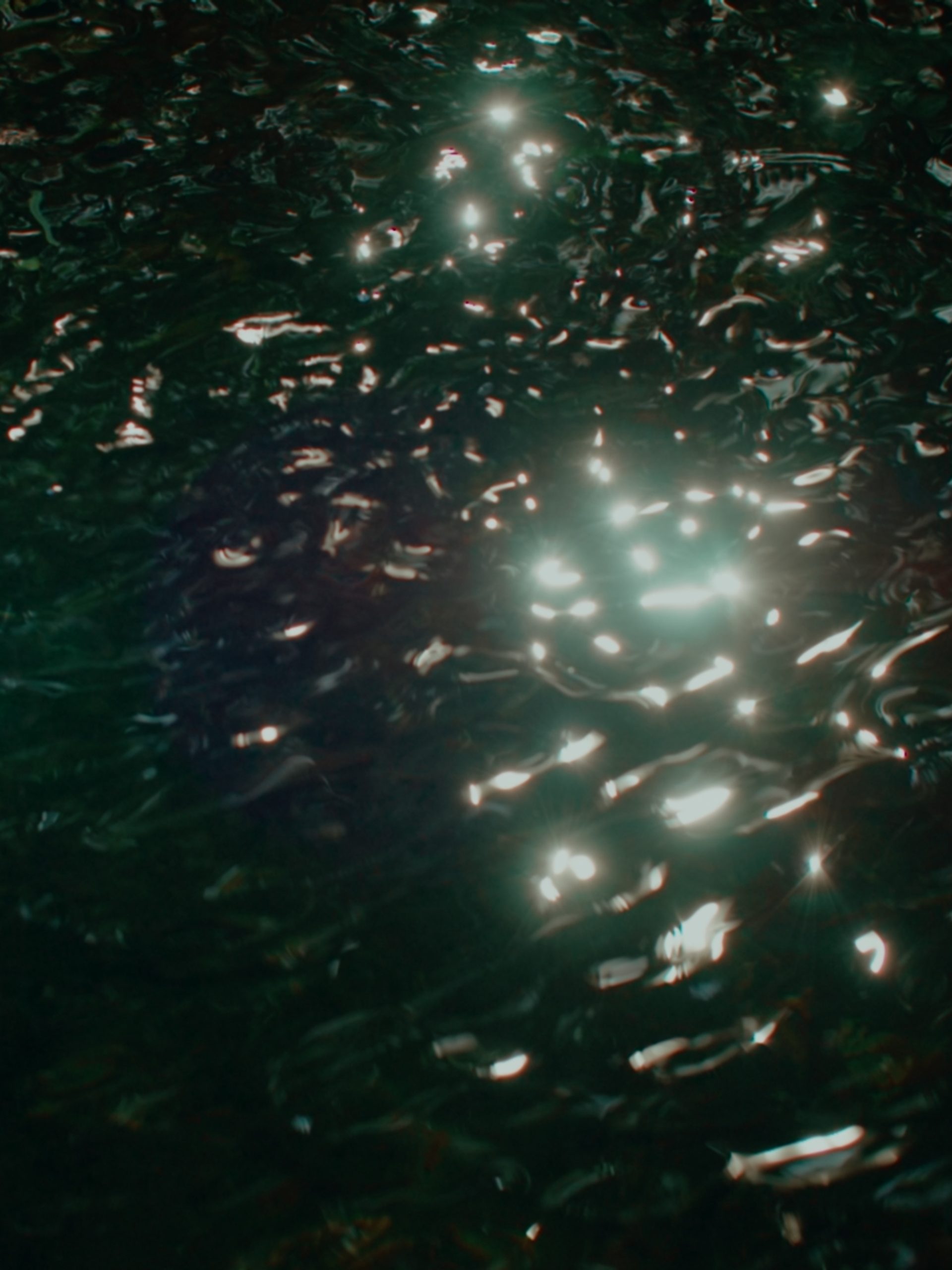 Sun reflected upon ripples of dark water