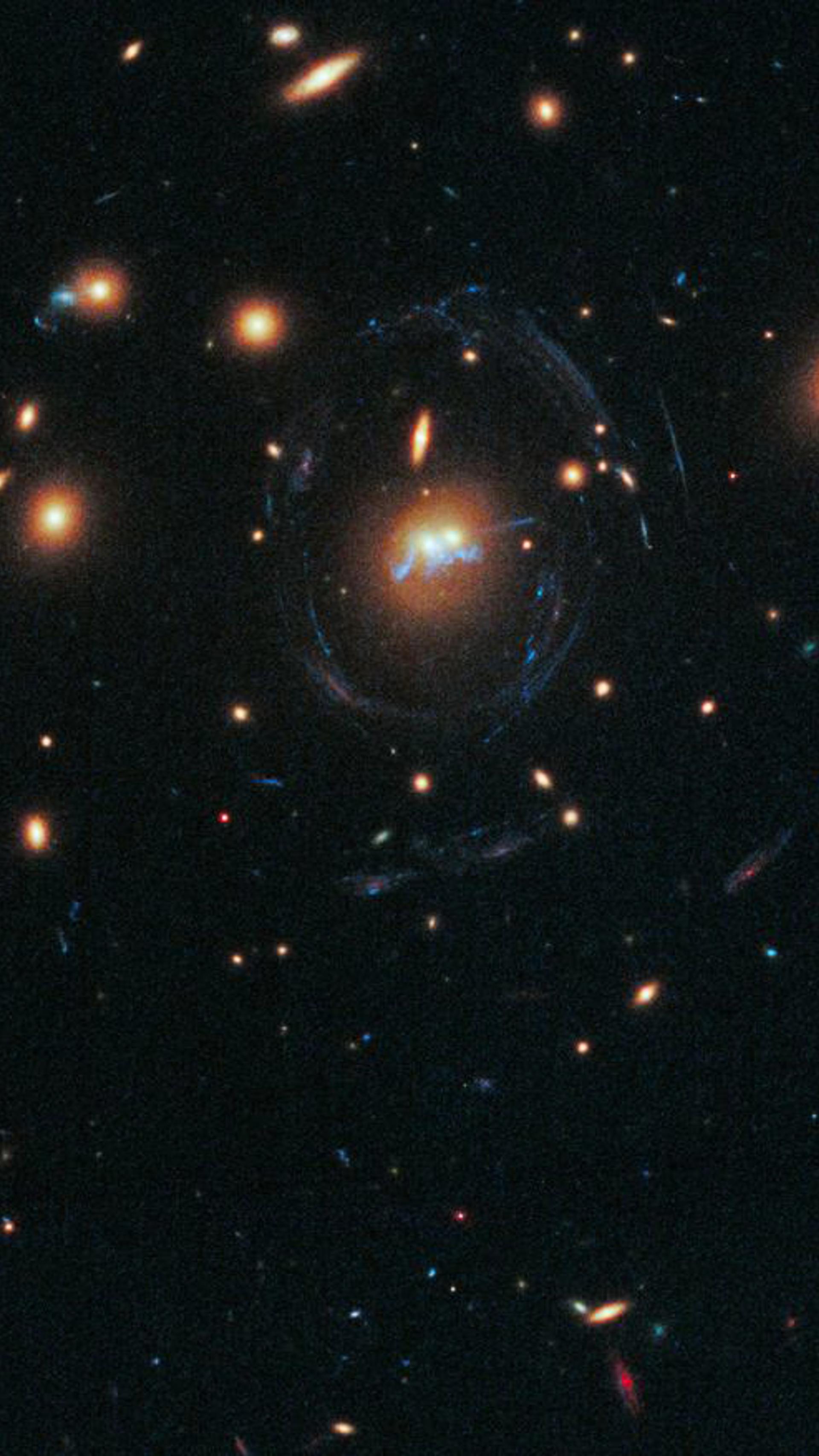 A dense galaxy cluster.