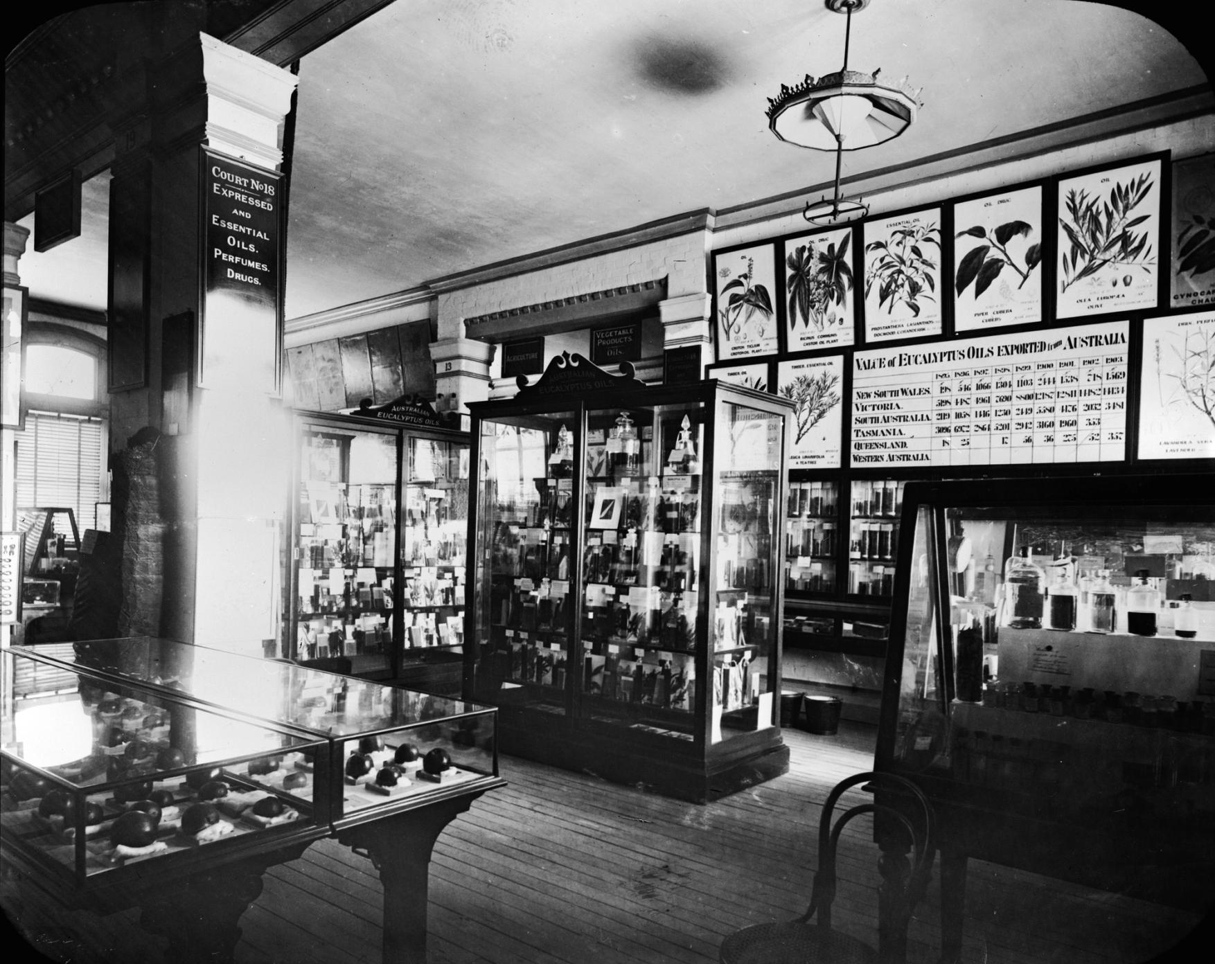 Black and white photograph of a museum display with glass cabinets, and drawings