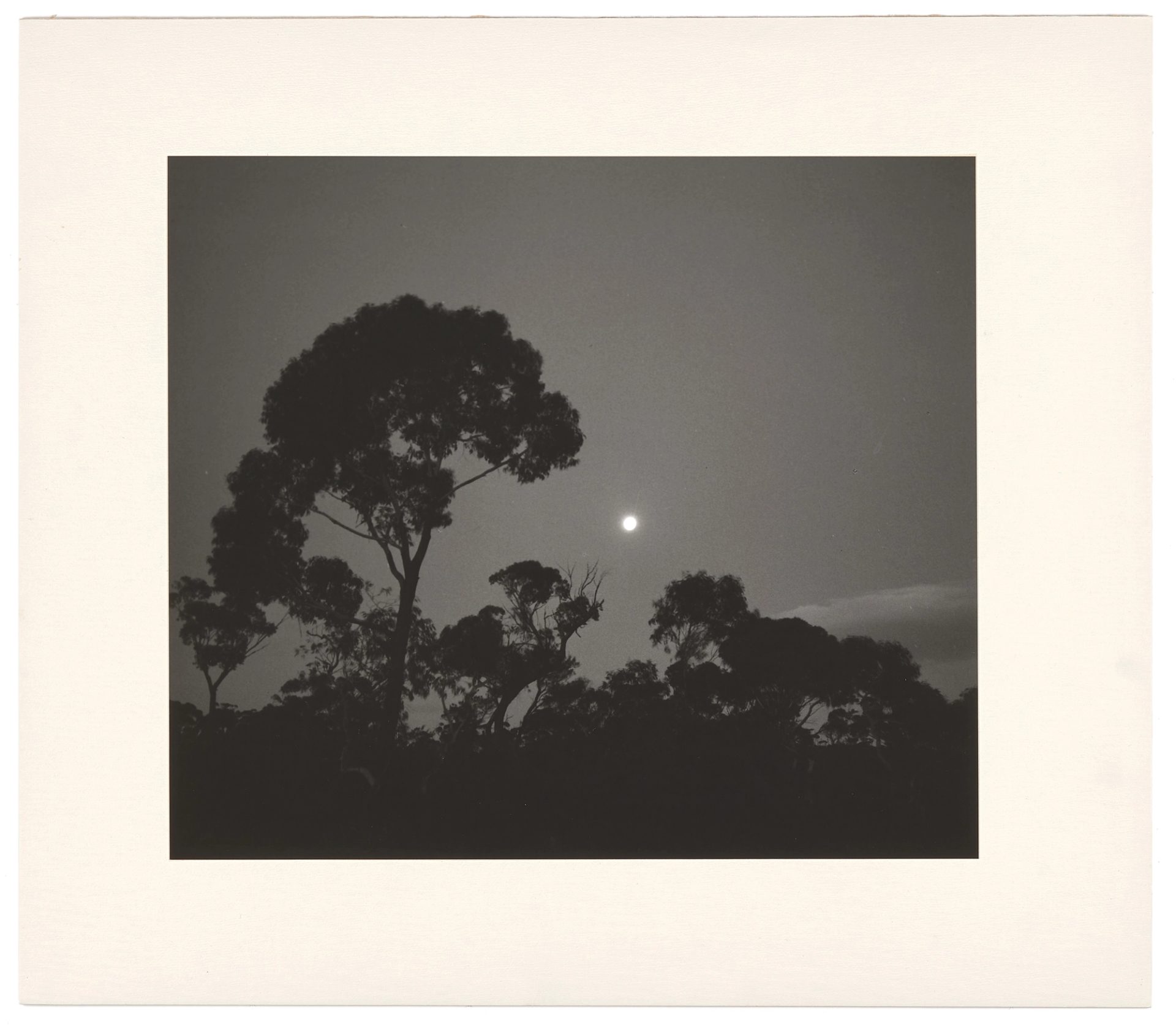 Black and white photograph showing a scene taken at night of the moon, trees in silhouette against the sky.