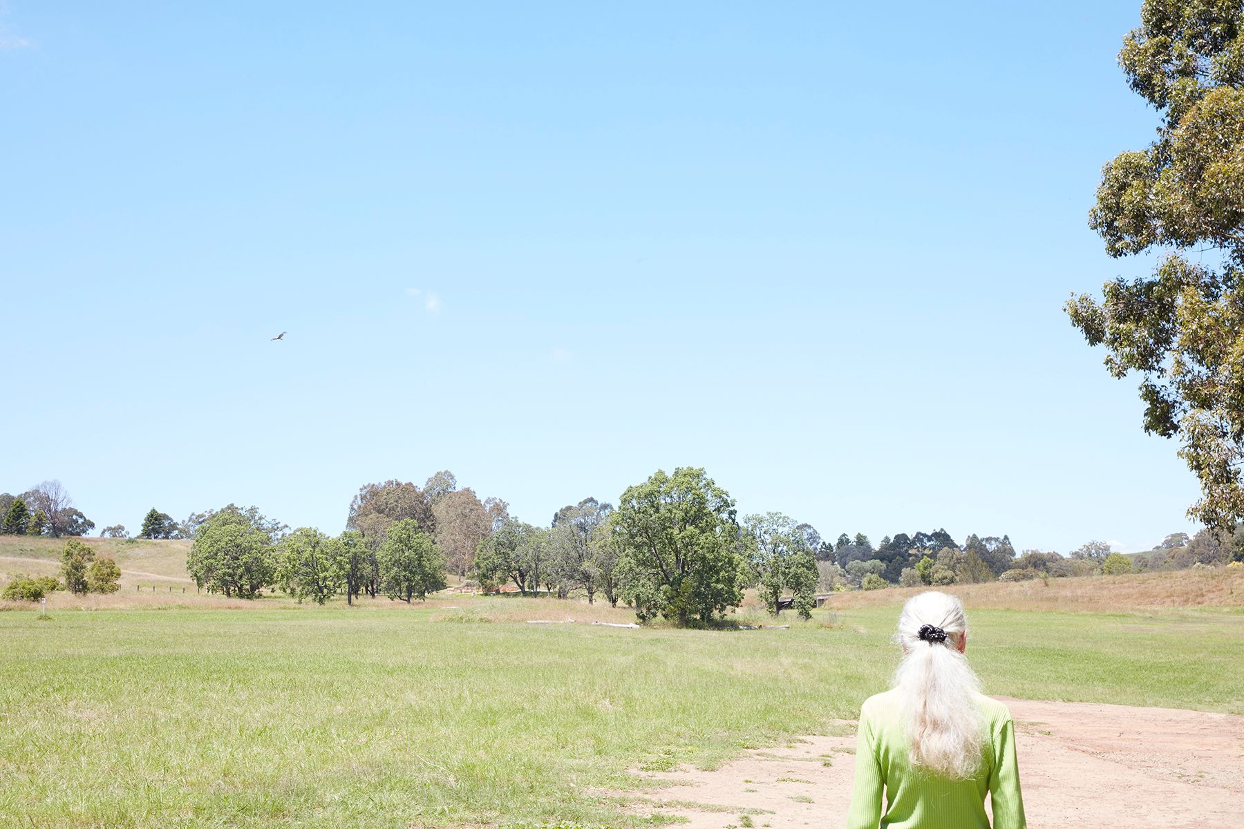 A white haired lady roams amongst the countryside.