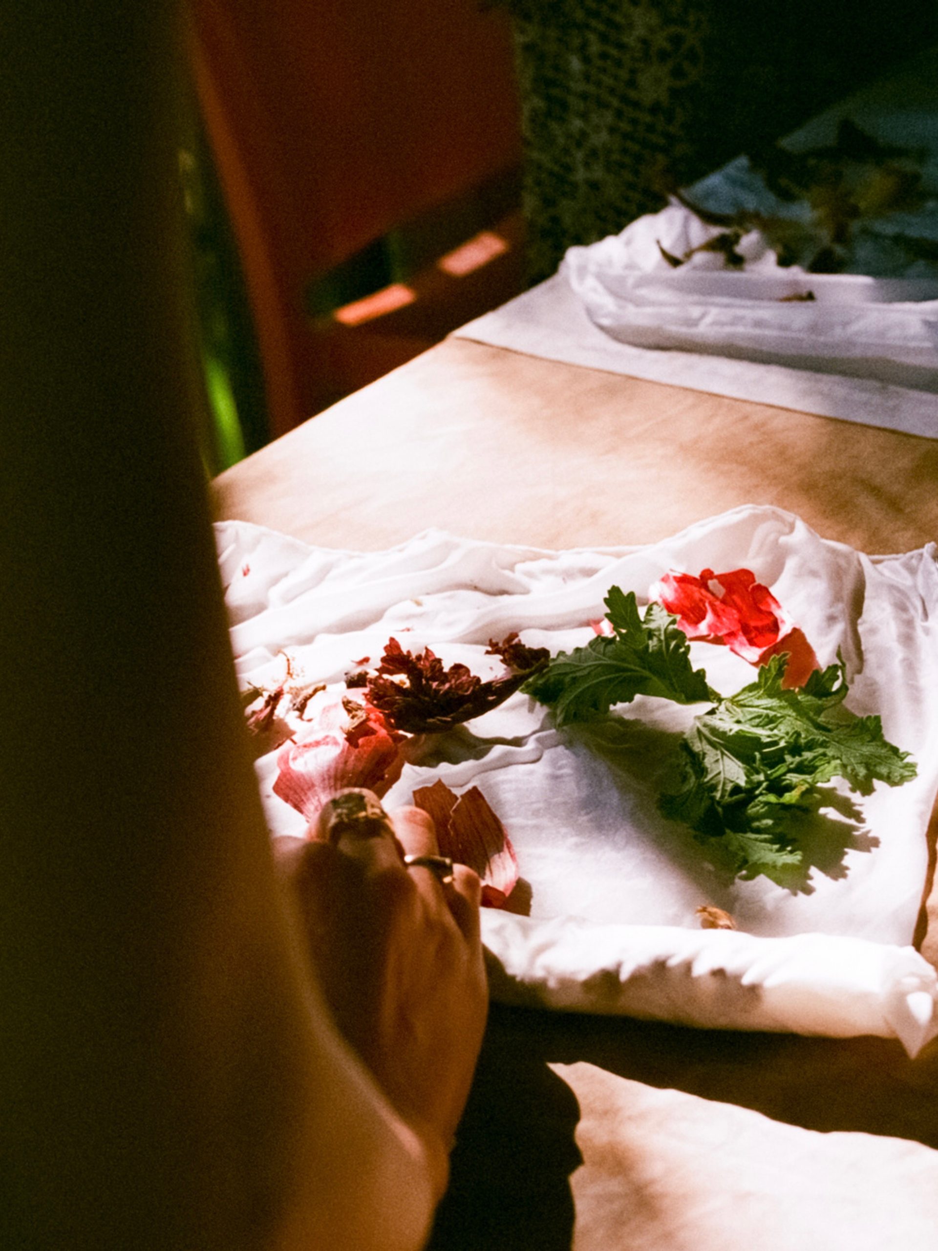 Behind a person's arm they work with organic materials and fabric in the sunlight