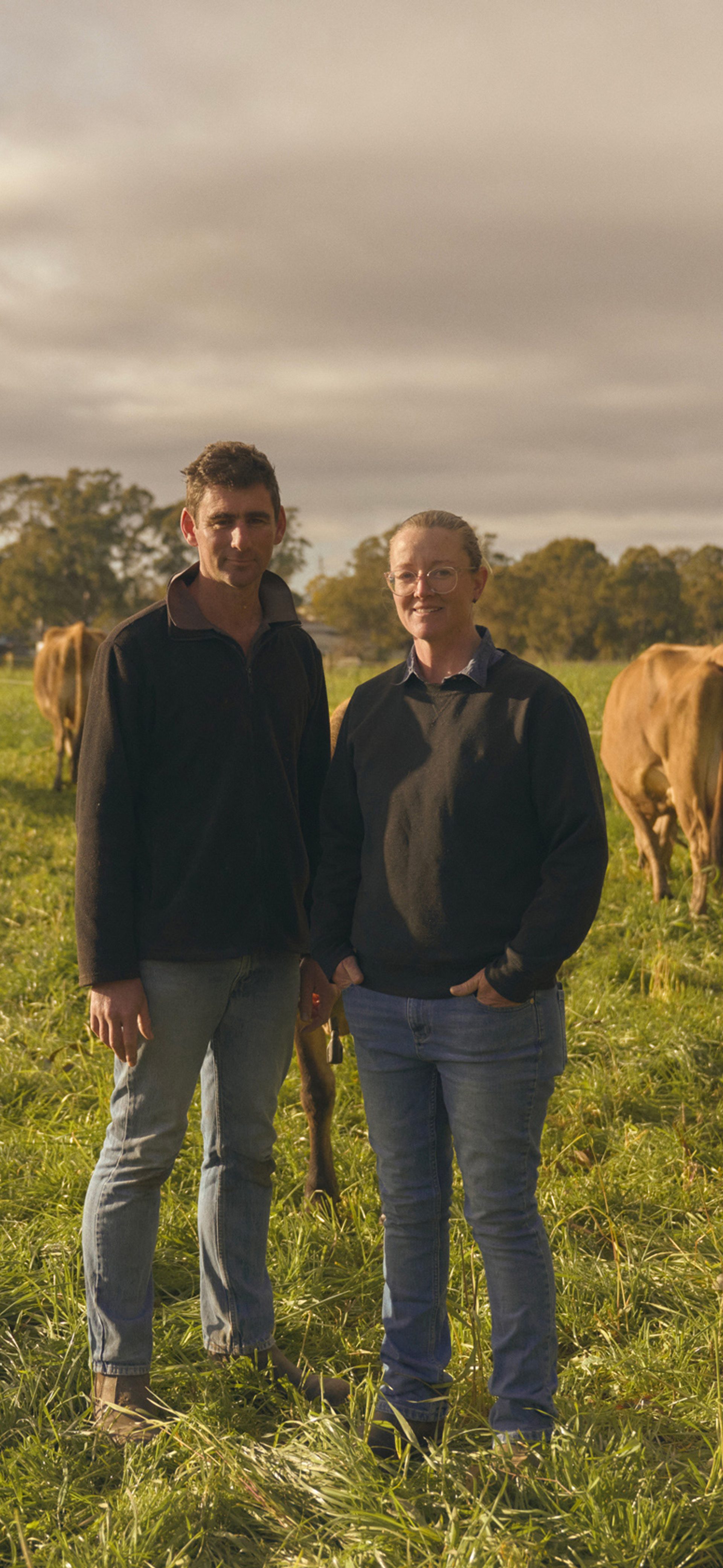 Dairy | Camden Valley Farm