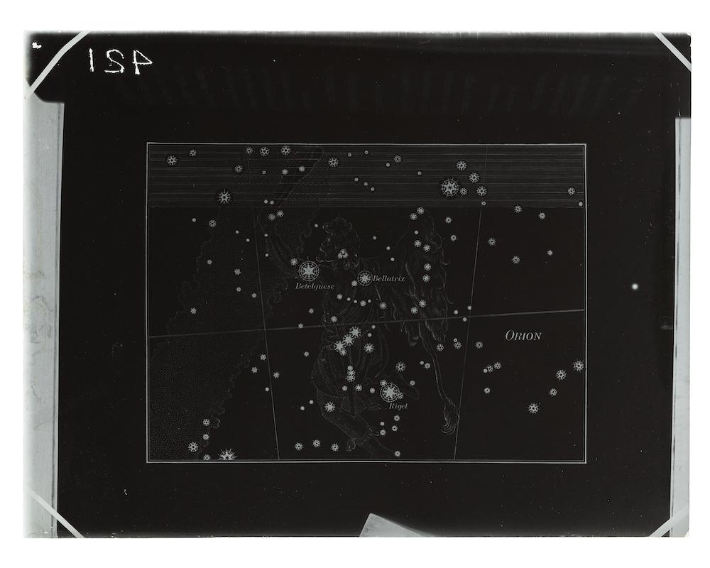 Plate negative of Orion