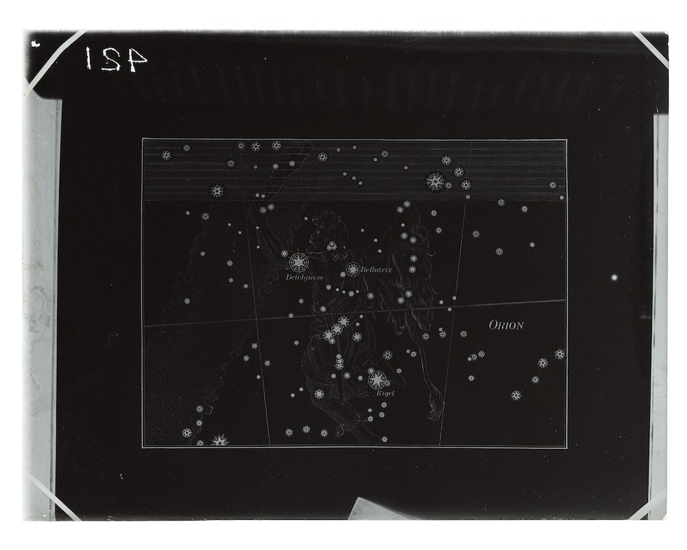 Plate negative of Orion