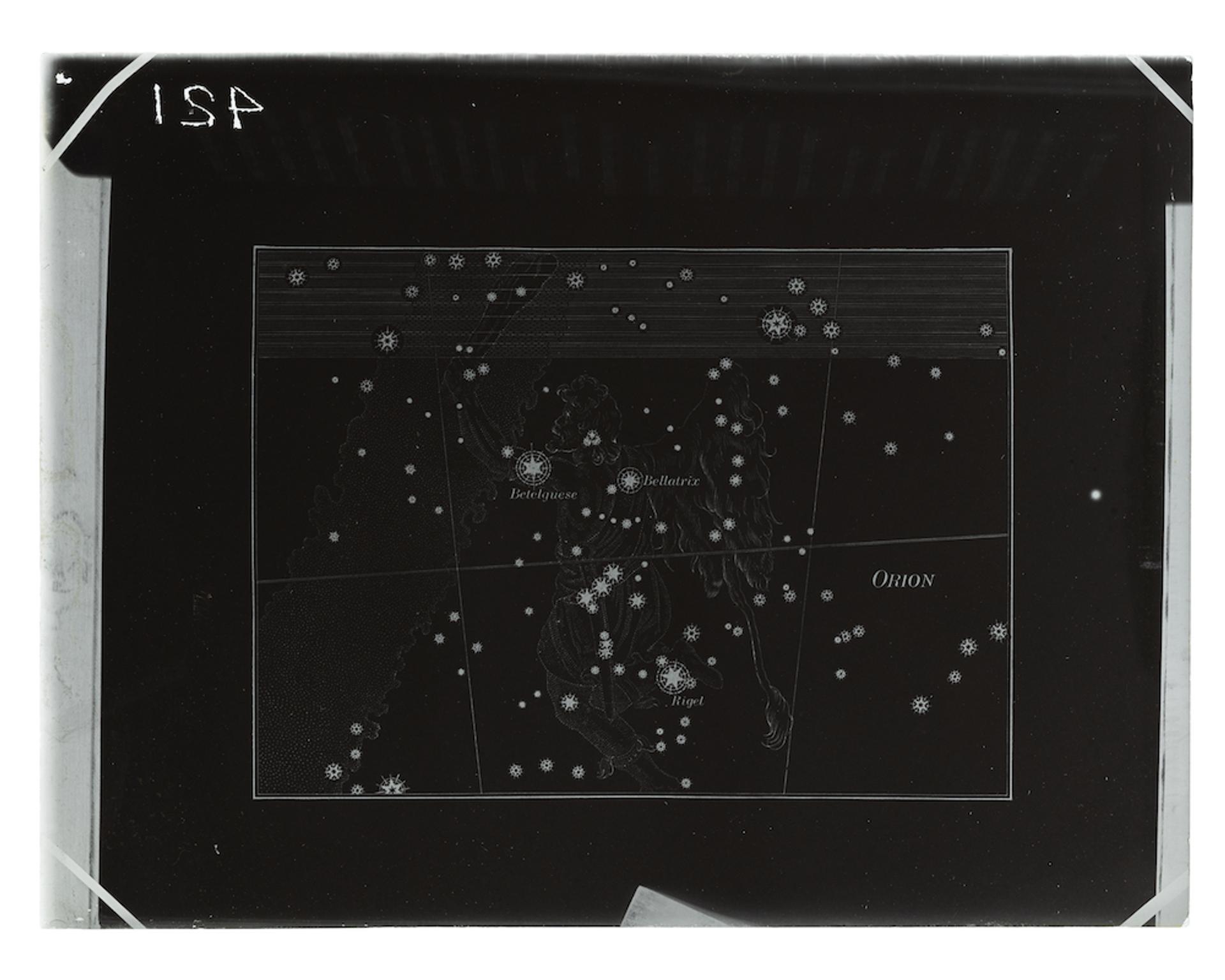 Plate negative of Orion