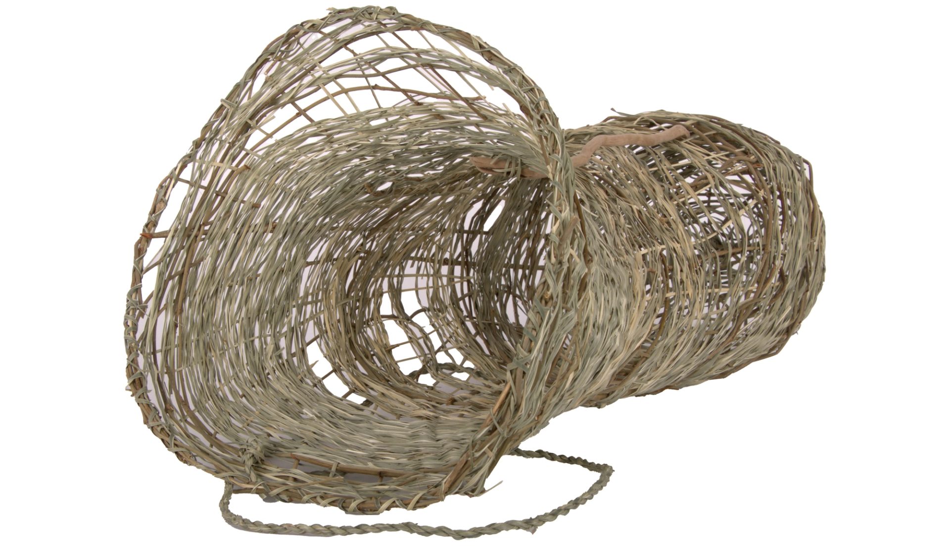 A woven fish trap made from invasive vine and native Lomandra.