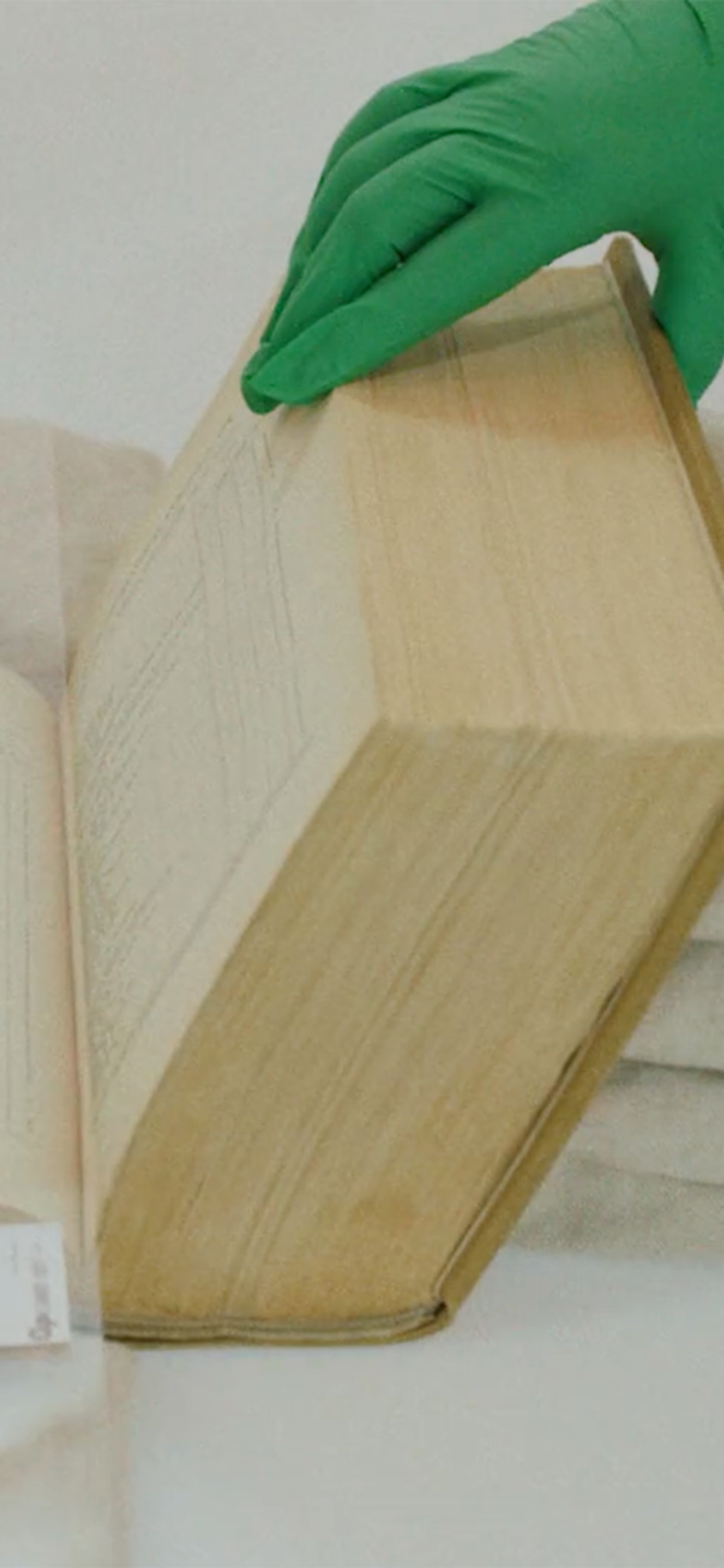 Digitising Powerhouse Object 347,172