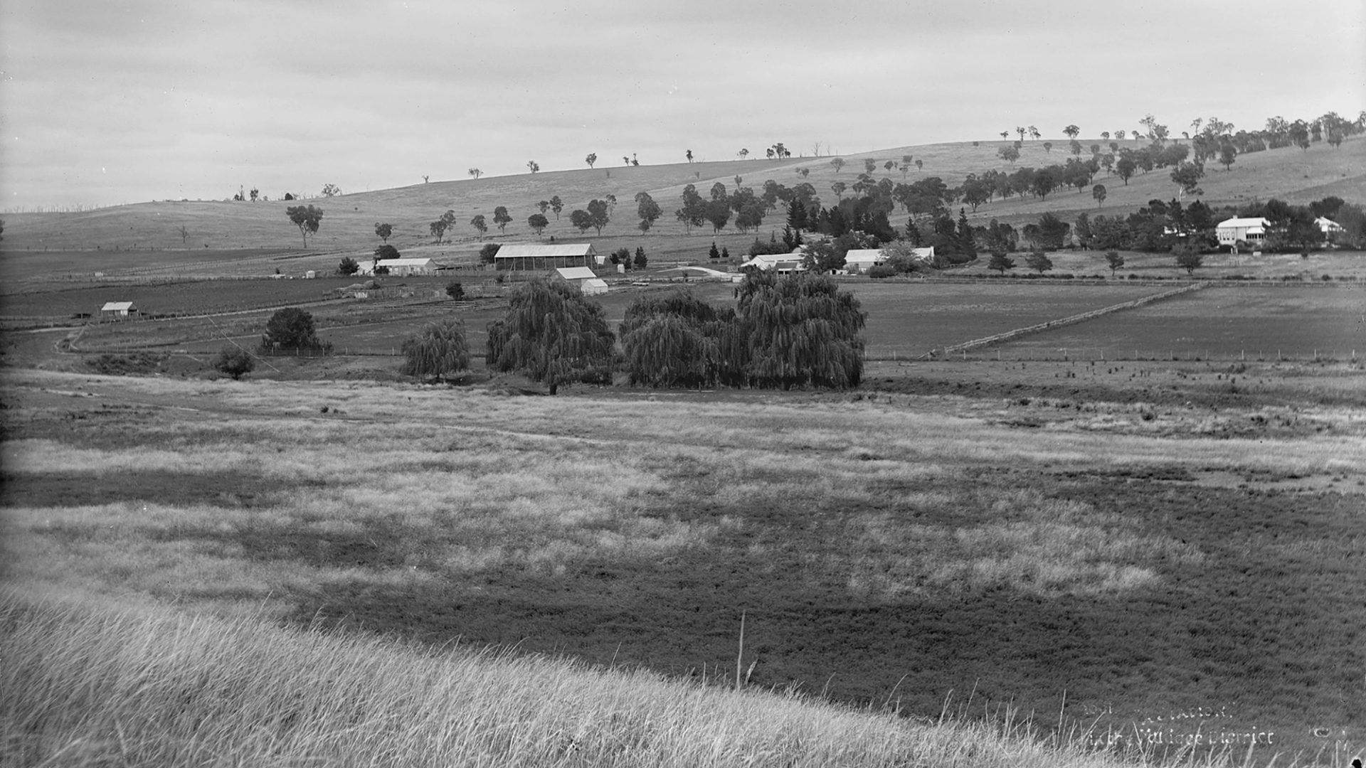 Countryside