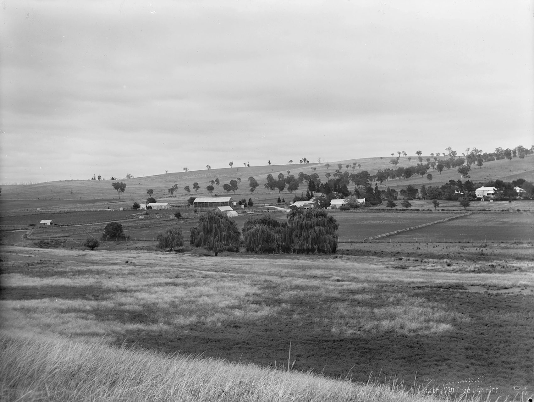 Countryside