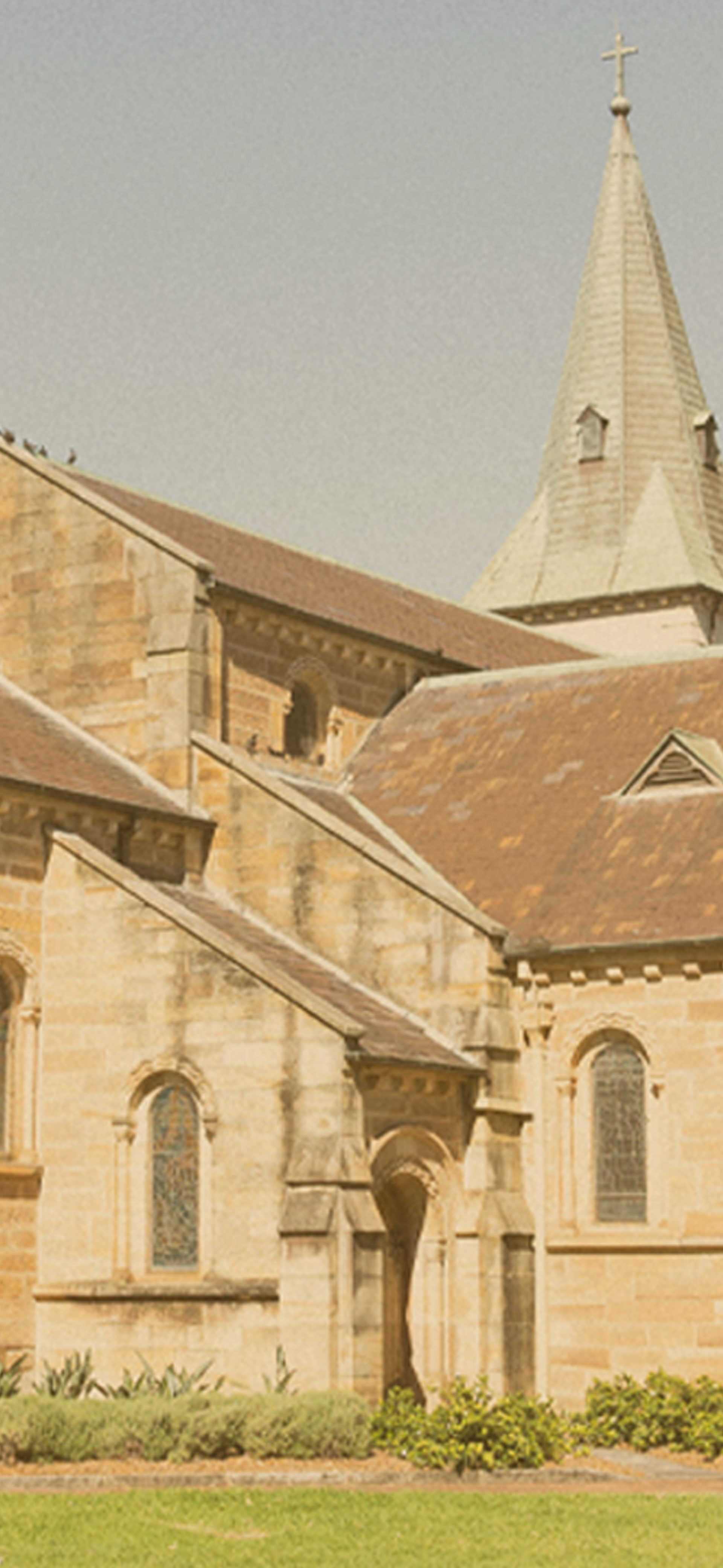 Memories of the Past