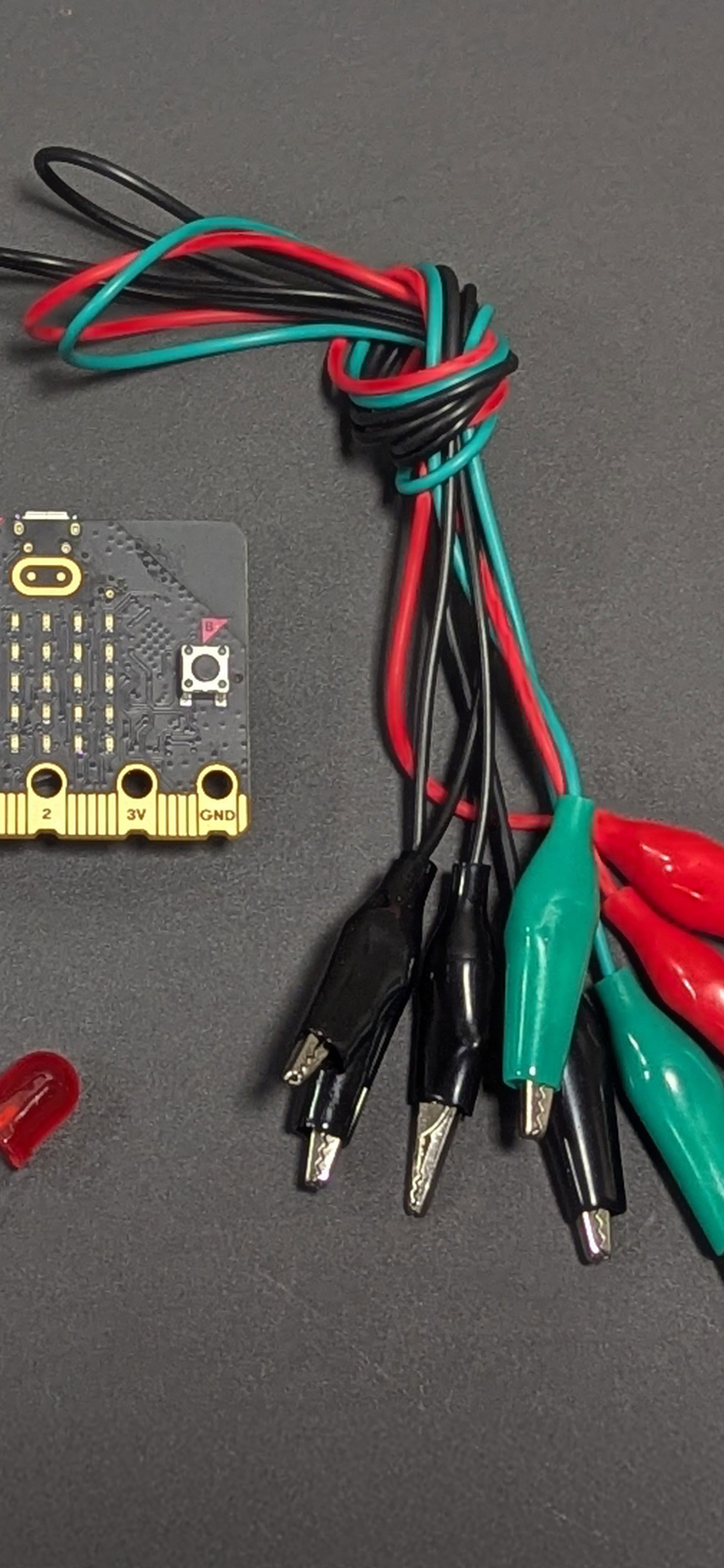 Family Micro:bit Coding