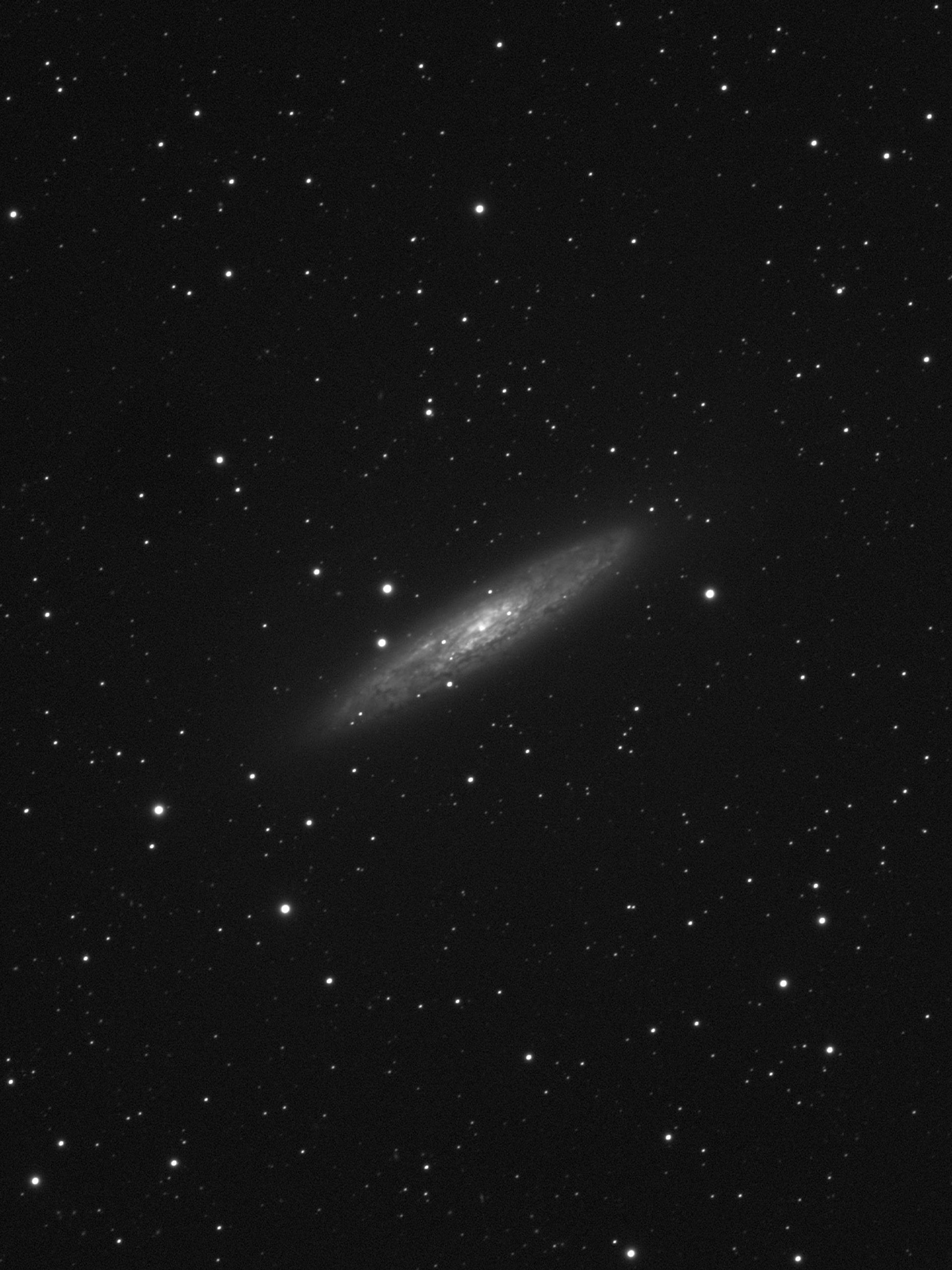 The stars in the Galaxy