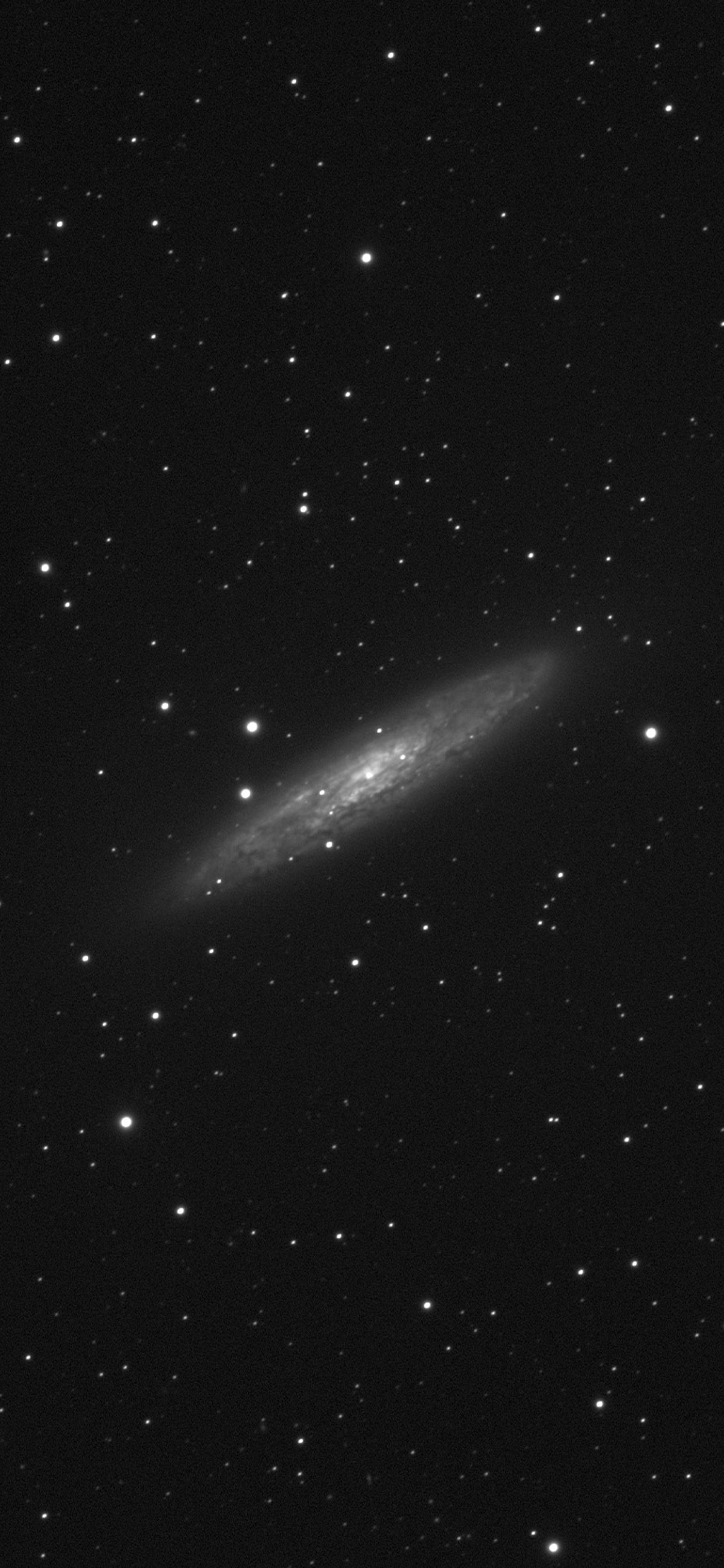 Sydney Observatory Late