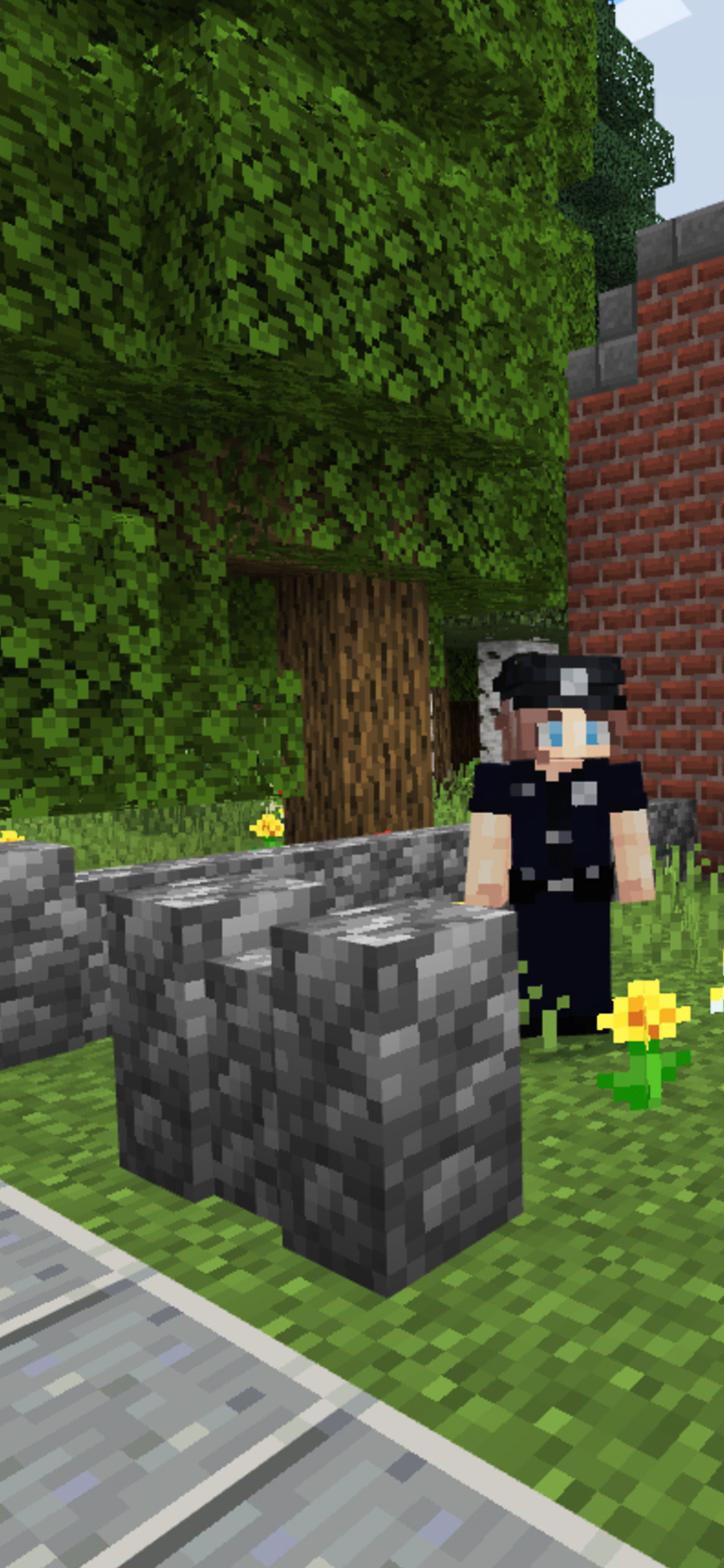 Family Minecraft (Ages 7+)